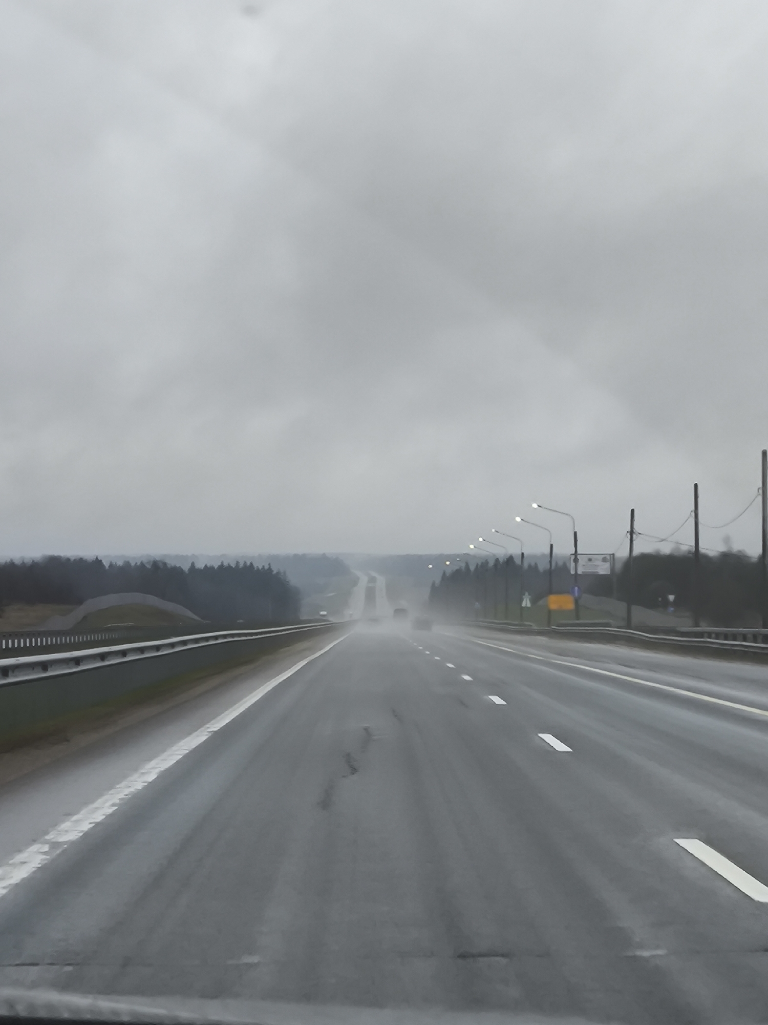 The image captures a driver's perspective of a multi-lane highway under a uniformly overcast, grey sky. The road surface is wet and reflective, indicating rain or recent precipitation. The low light conditions suggest either a dark, cloudy day, early morning, or late afternoon, with streetlights visible and illuminated along the right side of the highway.
The highway stretches into the distance, appearing somewhat hazy or misty, with faint outlines of other vehicles in the far distance, possibly obscured by road spray or fog. Metal guardrails line both edges of the road. To the left, a dense line of dark trees forms a forest bordering the highway, fading into the atmospheric haze. To the right, in addition to the streetlights, utility poles and an indistinct road sign with illegible text are present. White dashed lines mark the lanes, and a solid white line defines the left shoulder. The overall scene conveys a sense of travel in muted, perhaps somber, weather conditions. No specific legible text is visible in the image.