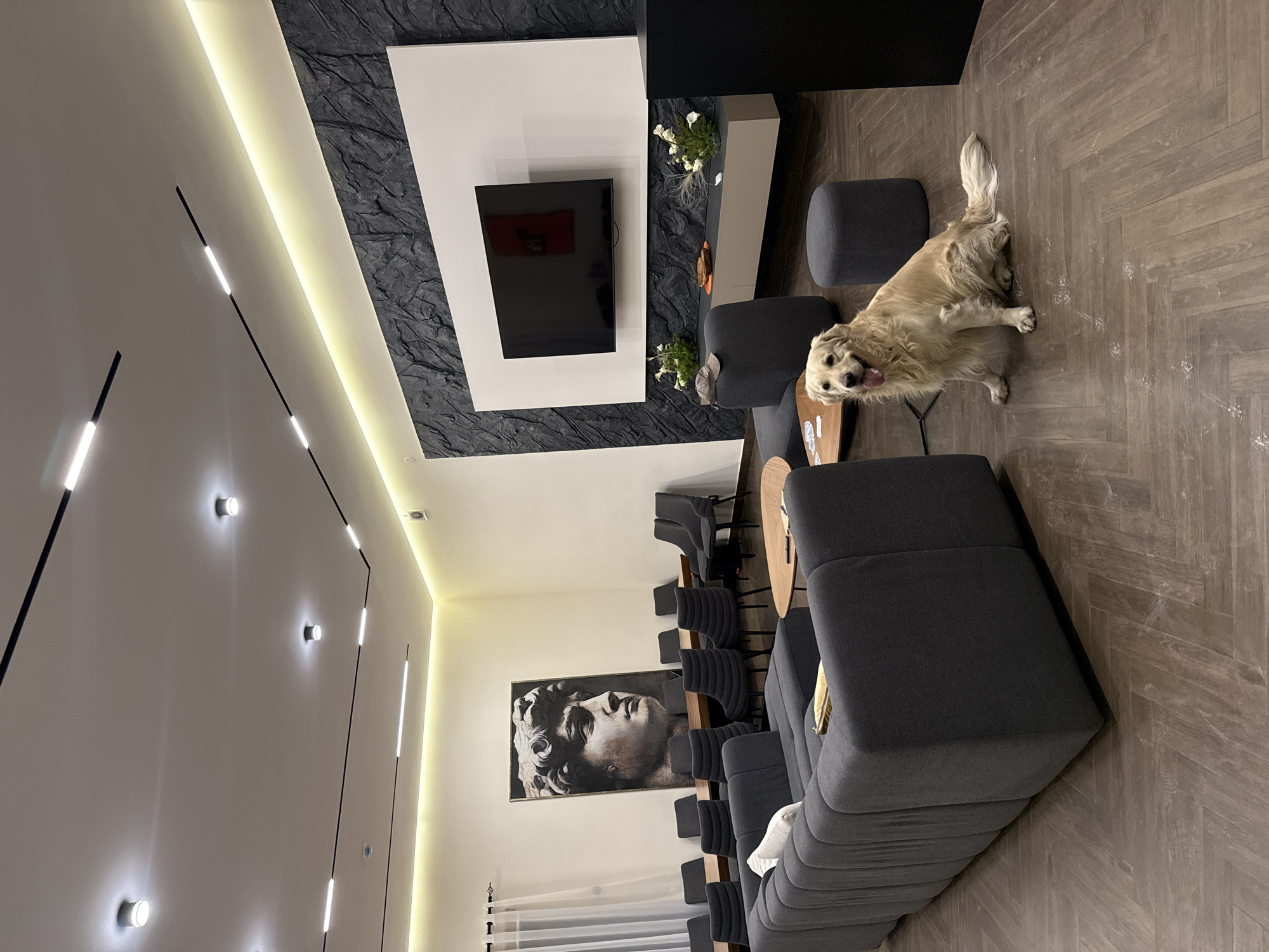 The image depicts an interior space with modern decor. The floor has a herringbone pattern. A large gray sofa dominates the foreground. Above the sofa is a framed portrait of a man's face. Adjacent to the sofa is a round wooden table and a row of gray chairs. In the background, a wall is adorned with black stone, a white rectangle, and a black rectangle, with a television mounted on the white part. To the right, there is a light-colored cabinet with plants. A gray ottoman and a golden retriever dog are visible in the corner of the room. The ceiling is white and has integrated lighting. Given the architectural style and furnishings, the location may be a modern apartment or office space, but I can't ascertain the city specifically.