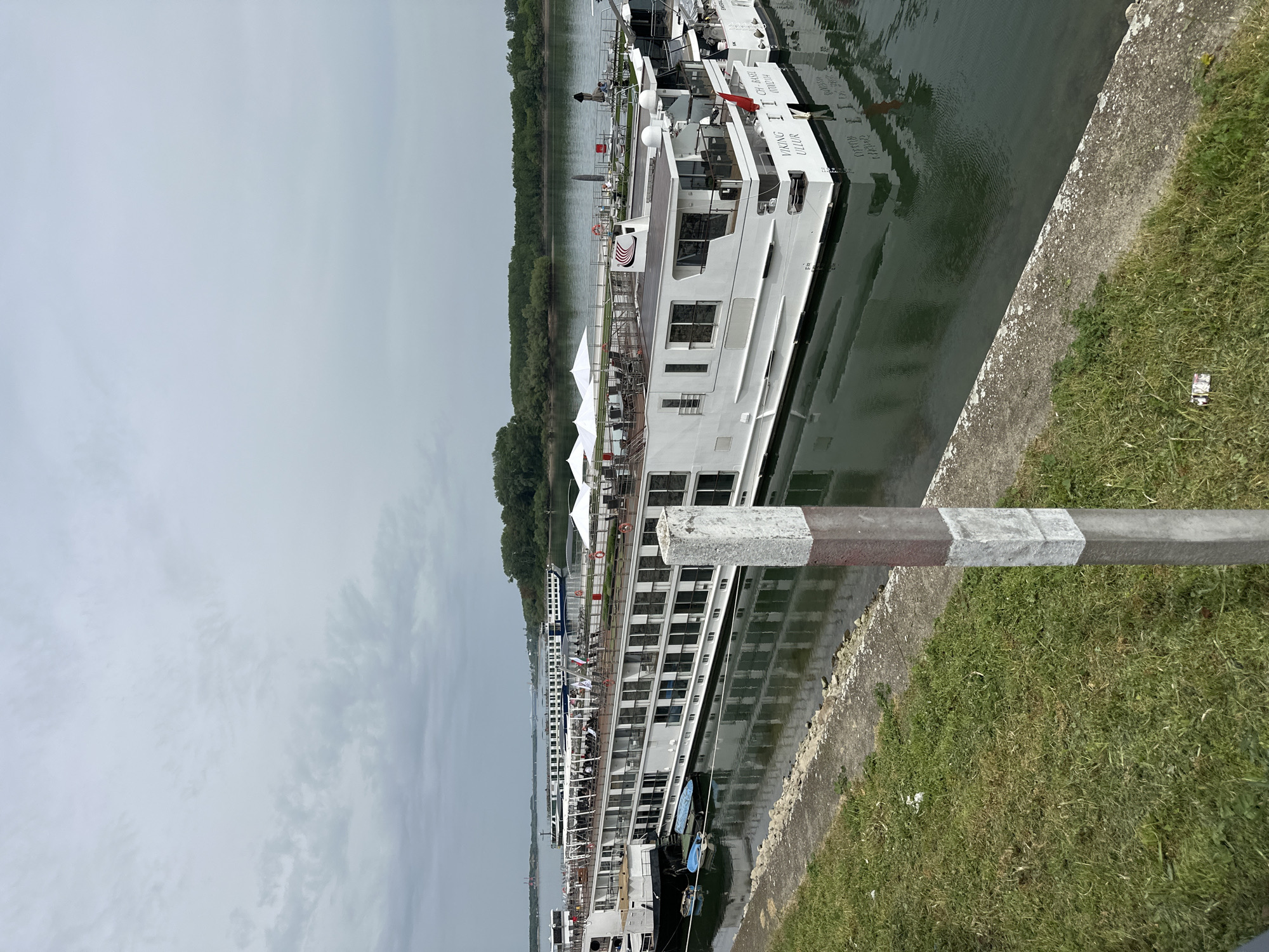 The image shows a view of the Danube River in Vidin, Bulgaria, with several river cruise ships docked along the riverbank. The vessels are white, multi-decked, and appear to be the "Viking" variety. A concrete retaining wall edges the grassy riverbank in the foreground, next to a metal railing. The sky is overcast. Green trees line the opposite bank of the river. No people are visible in the shot.