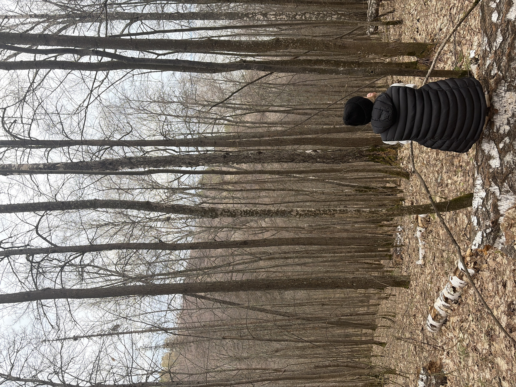 A person wearing a black puffy jacket and a black hat stands in a forest in Novyi, Russia. The forest floor is covered in brown leaves and fallen branches. The trees are tall and bare, with only a few small branches visible. The sky is overcast.