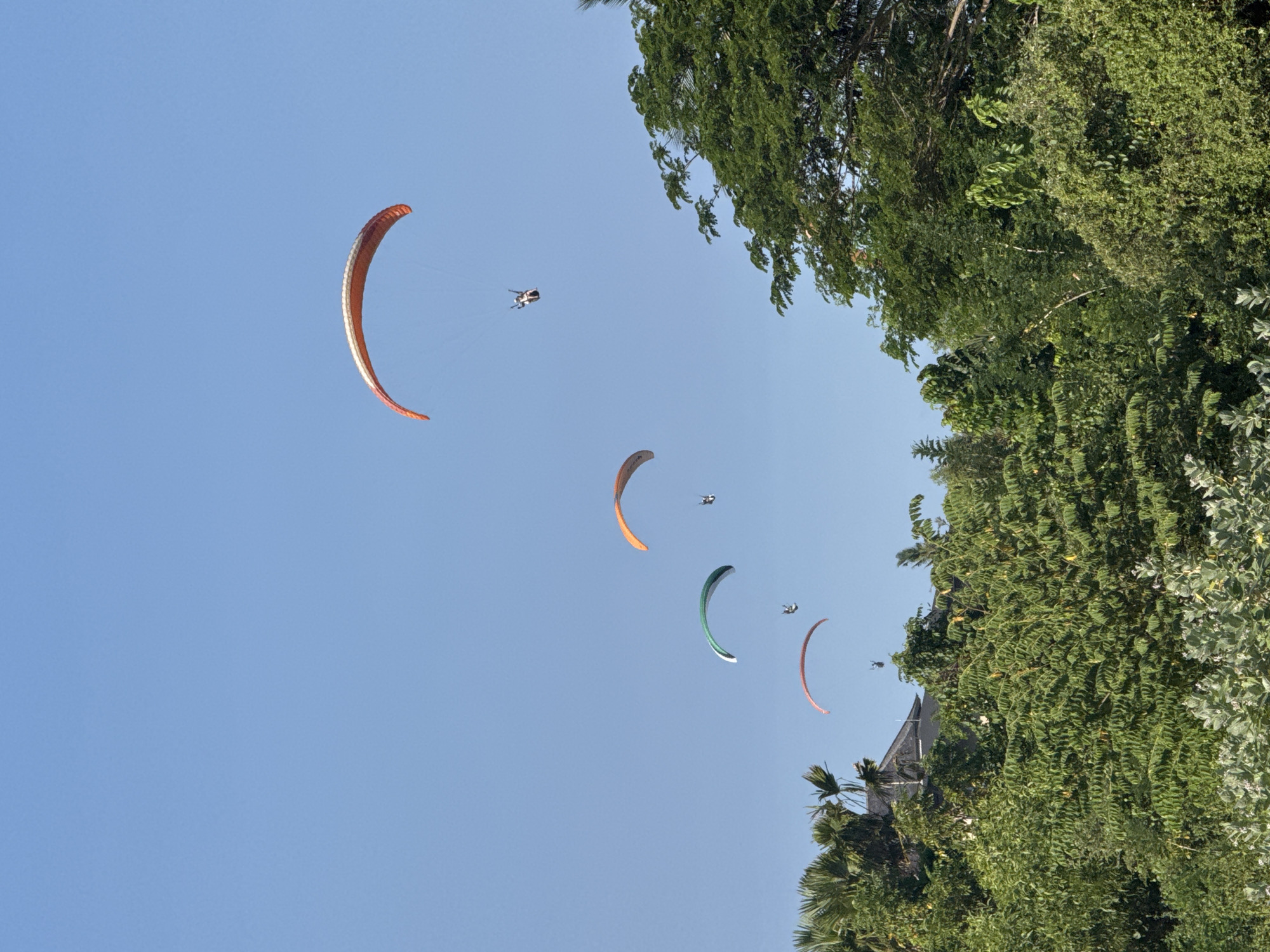 The image shows a clear blue sky with five paragliders in mid-air. One paraglider, with an orange and white canopy, is the highest and furthest to the right. Below and to the left of it are three more paragliders, one with a green canopy and two with orange canopies. The lowest paraglider, with a red canopy, is positioned over a lush green forest. The forest occupies the lower half of the image and appears to be dense with various types of trees. In the background, above the forest, a building with a dark roof is partially visible. The scene suggests an outdoor recreational activity taking place in Kuta Selatan, Indonesia, likely a tourist destination known for its beaches and adventure sports.