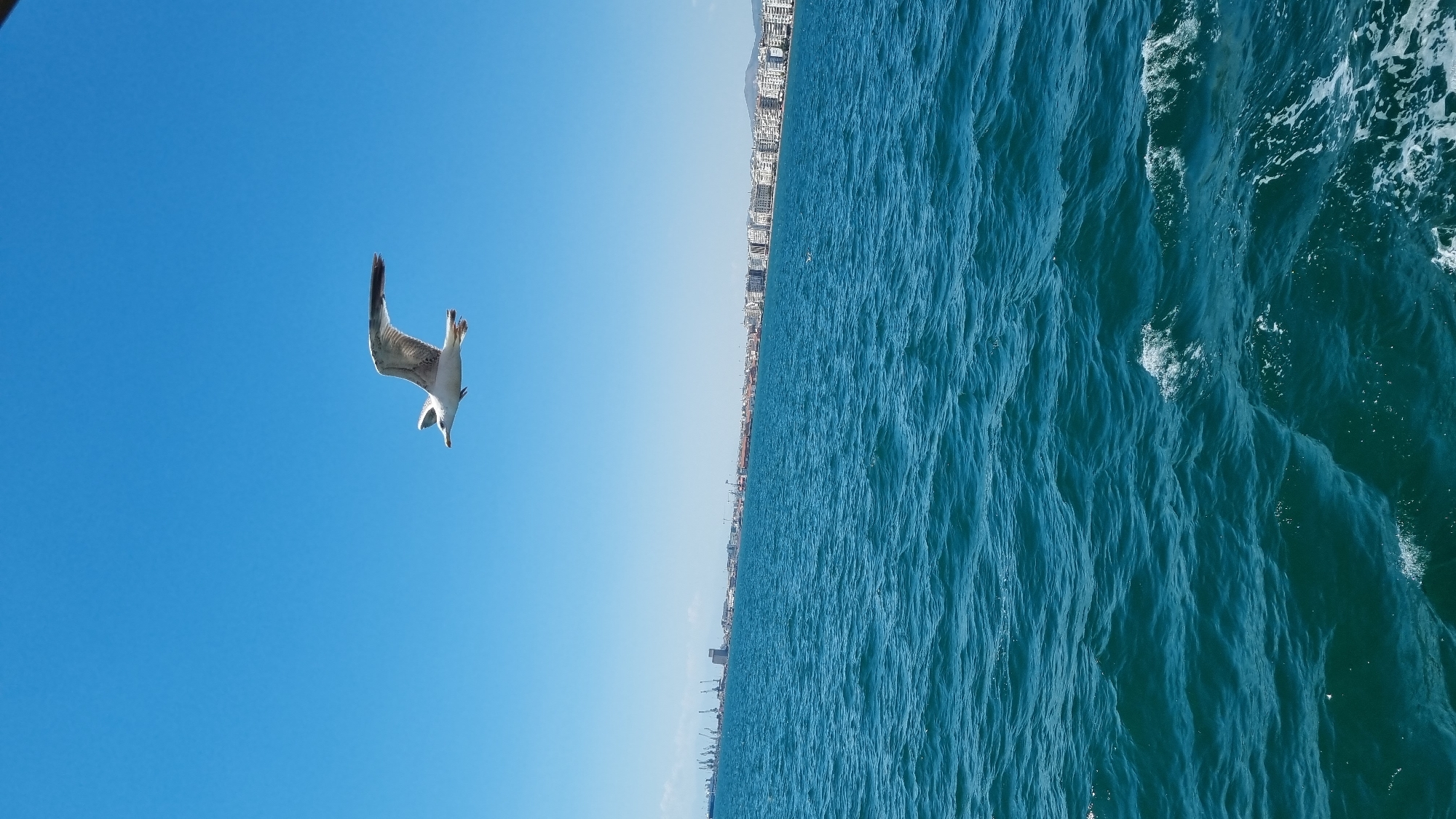 A seagull is captured in mid-flight, its wings outstretched, against a clear blue sky. Below, the deep blue sea stretches towards a distant city skyline. The city, identified as Thessaloniki, Greece, features a characteristic waterfront with buildings and port infrastructure. The sea's surface is choppy with small waves. The overall scene suggests a bright, sunny day.