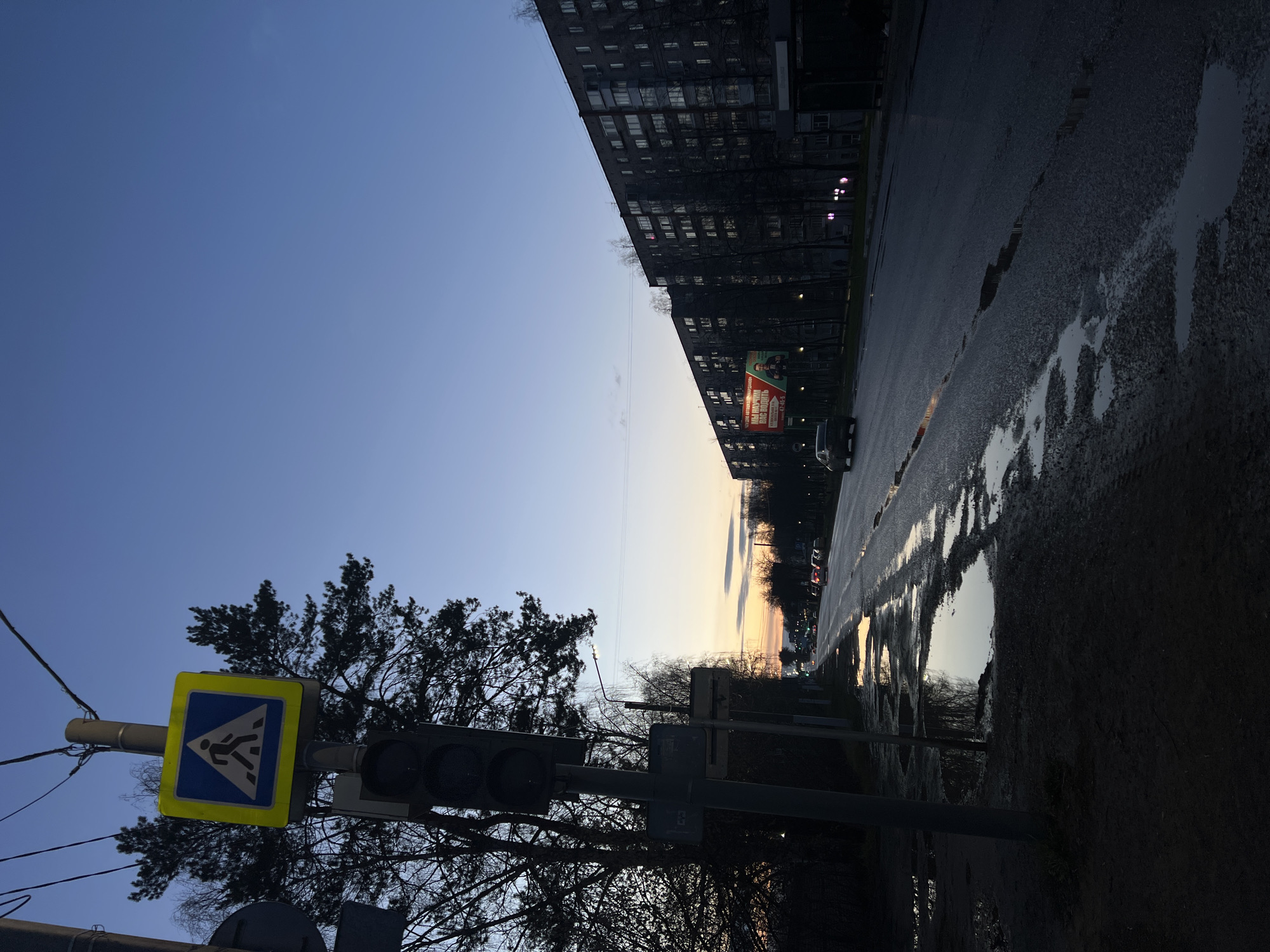 The image captures an urban street scene in Chaikovsky, Russia, at dusk or dawn, characterized by a soft, transitional light. The sky, which dominates the upper portion, graduates from a deep blue to a pale, warm yellow and orange hue near the horizon, suggesting either sunset or sunrise.
On the left side of the frame, a utility pole holds a prominent pedestrian crossing sign, featuring a white walking person pictogram on a blue background with a yellow border. Below it, a dark traffic light is mounted. Silhouetted, bare-branched trees stand behind the pole and line the left side of the street. Overhead utility wires are visible against the sky.
To the right, a long, multi-story apartment building stretches into the distance, appearing dark against the lighter sky, with several windows emitting light. The asphalt road running parallel to the building is visibly wet, with numerous large puddles reflecting the sky's colors and distant vehicle lights. A few cars are discernible in the distance on the street, some with headlights on. Further down the street on the right, a billboard displays text in Cyrillic, including "ЭТО НАШ ВКУСНЫЙ" (This is our delicious) and a partial word that appears to be "БЕЛОРУССКИЙ" (Belarusian), along with a phone number "47-65-3". No people are distinctly visible. The wet surfaces and reflective puddles contribute to the atmospheric quality of the twilight scene.