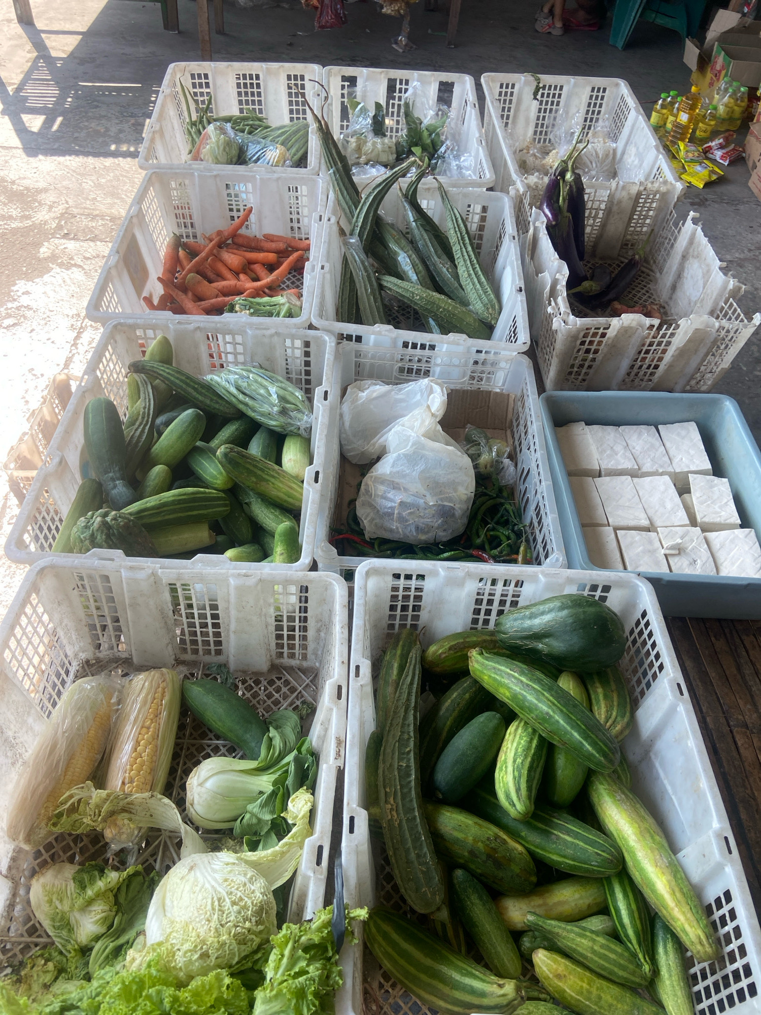 The image shows an outdoor market stall in Kaliwungu, Indonesia, with an array of fresh vegetables displayed in white plastic crates. The crates are stacked and arranged in rows.
In the foreground, several crates contain various vegetables. One crate holds lettuce and cabbage, while another is filled with cucumbers and chayote. Further back, a crate is filled with corn and leafy greens. Another crate displays more cucumbers and some bitter gourds.
In the middle ground, a crate is filled with carrots, and next to it, a crate holds ridge gourds. Another crate contains eggplants, and adjacent to that, a tray holds sliced tofu. A crate behind the eggplants appears to contain onions. In the background, more crates with vegetables are visible, along with some bottles of cooking oil and packaged goods on a shelf. The ground appears to be concrete, and there are shadows cast from overhead structures, suggesting a covered market area or an awning. There are no people clearly visible in the image.
