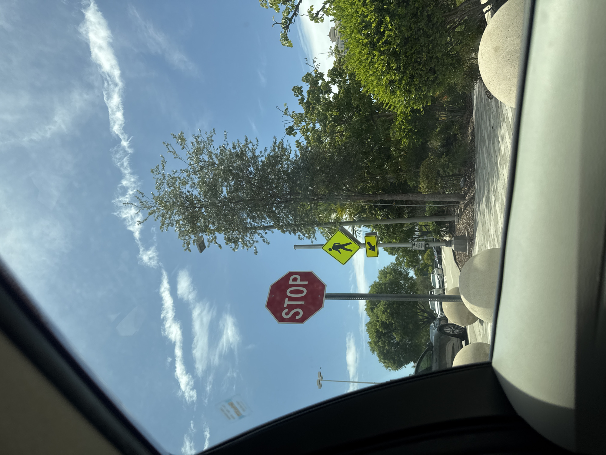 The image is a vertical, close-up shot from inside a vehicle looking out through the windshield and possibly a sunroof, showcasing a street scene in Aventura, Florida. The primary focus is on traffic signs against a bright blue sky with wispy white clouds.
Visible subjects include a red octagonal STOP sign, a yellow diamond-shaped pedestrian crossing sign, and a smaller yellow rectangular sign with a pedestrian symbol. The sky is a dominant element, with streaks of cirrus clouds suggesting it's daytime, likely mid-morning or afternoon given the brightness and shadows. Lush green trees line the right side of the frame, indicating a possibly tropical or subtropical environment, consistent with the Florida location. In the background, there are glimpses of cars, a paved walkway with decorative, spherical planters, and some architectural elements that might be part of a building.
The activity suggested is that the vehicle is approaching or stopped at an intersection with a pedestrian crossing and a stop sign. There are no people clearly depicted in the scene, though the pedestrian signs imply their potential presence.
Notable details include the clean, well-maintained appearance of the signs and the surrounding environment. The reflection of what appears to be a sticker or label can be seen on the windshield. The time of day is clearly daytime, and the weather appears sunny and clear, with some clouds. The location cues strongly suggest a developed urban or suburban area in the United States, specifically Aventura, Florida. No overt emotions are conveyed, as the image is factual and descriptive.
The visible text consists of the word "STOP" in white sans-serif letters on the red octagonal sign. The other signs have symbolic representations.