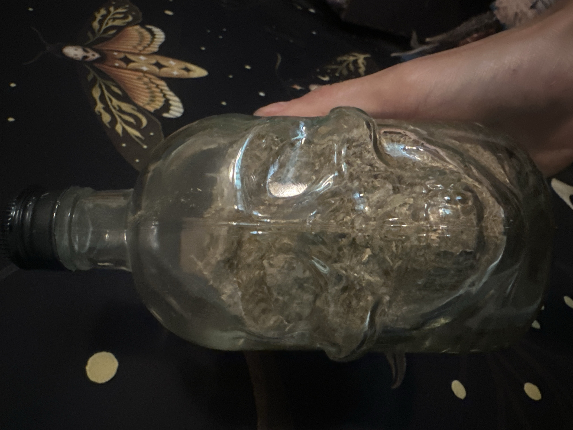 The media file shows a clear glass bottle, shaped like a skull, lying on its side. The bottle is filled with a dry, granular substance, appearing to be dried herbs or plant matter. A black cap is visible on the neck of the bottle. A person's hand is holding the bottle, with their fingers gently resting on the top curve of the skull shape.
The background is a dark fabric with a pattern of white and yellow dots, and a detailed illustration of a moth with ornate wing patterns in shades of orange, brown, and yellow. The moth illustration is partially visible behind the bottle. The overall lighting suggests an indoor setting, possibly with soft, diffused light, creating reflections and highlights on the glass. No specific time of day or weather conditions are discernible. There is no visible text in the image. The composition is focused on the skull-shaped bottle and the hand holding it, with the patterned background providing an artistic context.