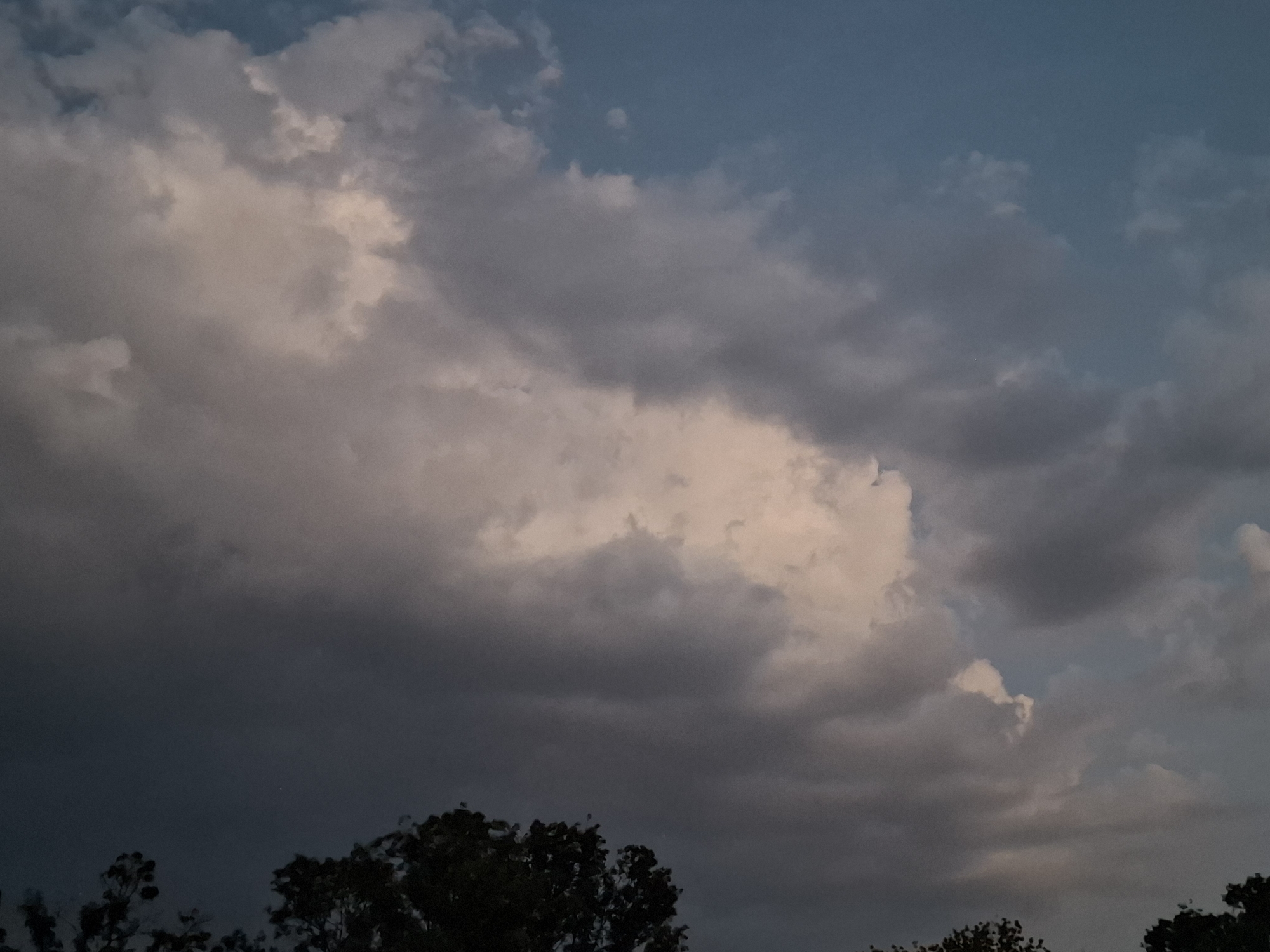The image depicts a cloudy sky above a silhouette of trees. The clouds are a mix of white and grey, with some areas illuminated by sunlight, suggesting it could be dawn or dusk. The sky transitions from a lighter blue near the top to darker, more overcast tones lower down. The trees at the bottom of the frame are dark and appear to be a dense collection of foliage, hinting at a natural or park-like setting. The scene is devoid of any human presence or discernible urban features. It is not possible to determine the specific location within Chorna, Ukraine based on the provided image.