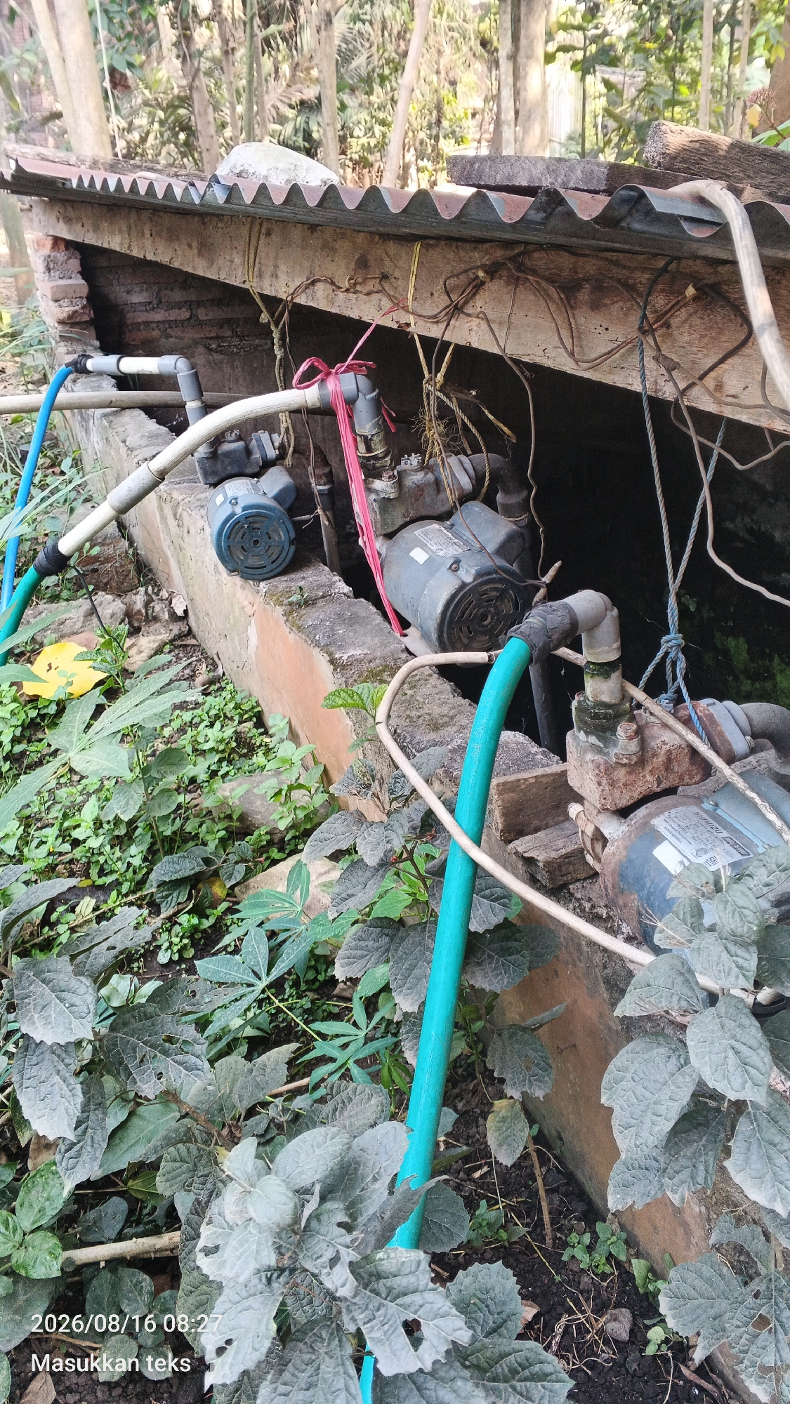 This image captures an outdoor scene with two electric water pumps positioned on a concrete ledge. The pumps are connected to pipes and hoses, with one blue hose prominently visible in the foreground. The surrounding environment is overgrown with green foliage and some dry leaves. Above the pumps, a corrugated metal roof is supported by wooden beams and bricks. The scene appears to be in a somewhat neglected or rustic area, possibly a backyard or a utility area. The timestamp on the image indicates it was taken on August 16, 2026, at 08:27. There are no people visible in the image. The location is identified as Kendalpayak, Indonesia.