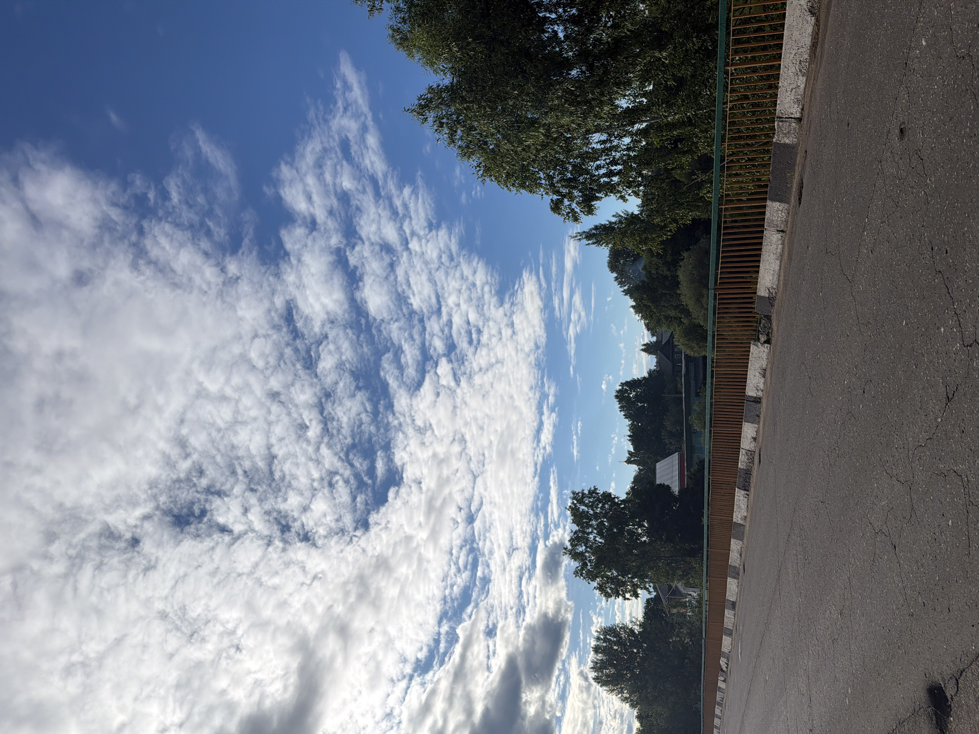 This is a vertical, eye-level shot of an asphalt road on a bridge in Moshenskoe, Russia. The road is cracked and shows signs of wear. A rusty metal fence with a green top runs along the right side of the bridge. Beyond the fence, lush green trees and some buildings are visible. The sky is blue with scattered white clouds. There are no people or vehicles in the image.