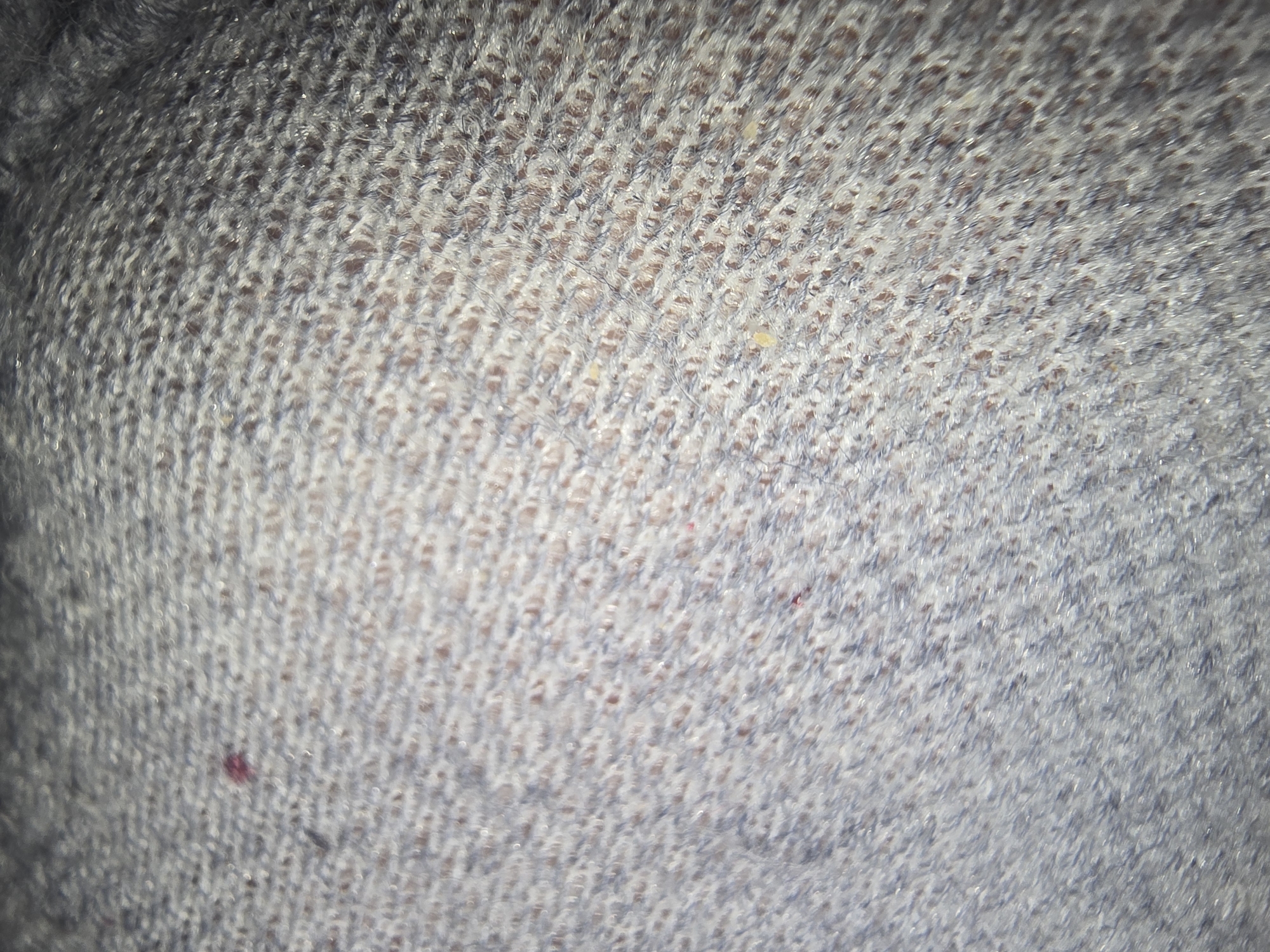 The image shows a close-up view of a textured, gray knitted fabric. The fabric has a visible weave pattern, with individual threads interlacing to create a series of small holes or gaps. Some areas of the fabric appear slightly fuzzy or matted. There are a few small, reddish-pink specks visible on the fabric's surface, as well as some faint yellowish discoloration in scattered spots. The lighting creates highlights and shadows, emphasizing the three-dimensional texture of the knit. There is no discernible context of a specific location in Ulan-Ude, Russia, or any identifiable people, objects, actions, or interactions.