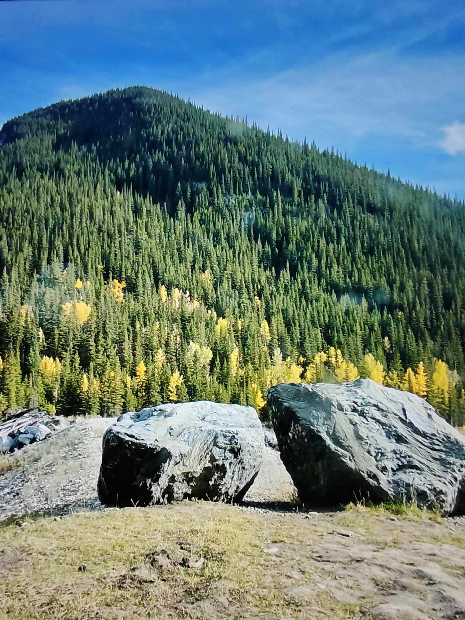The image shows a mountainous landscape with a dense evergreen forest covering the slopes. Patches of yellow foliage are visible within the forest, suggesting the season is autumn. In the foreground, two large boulders rest on grassy and rocky terrain. The sky is blue with some wispy clouds. This scene is consistent with the natural environment found in the vicinity of Calgary, Canada, likely in the foothills of the Rocky Mountains. There are no people or man-made structures directly visible in the image.