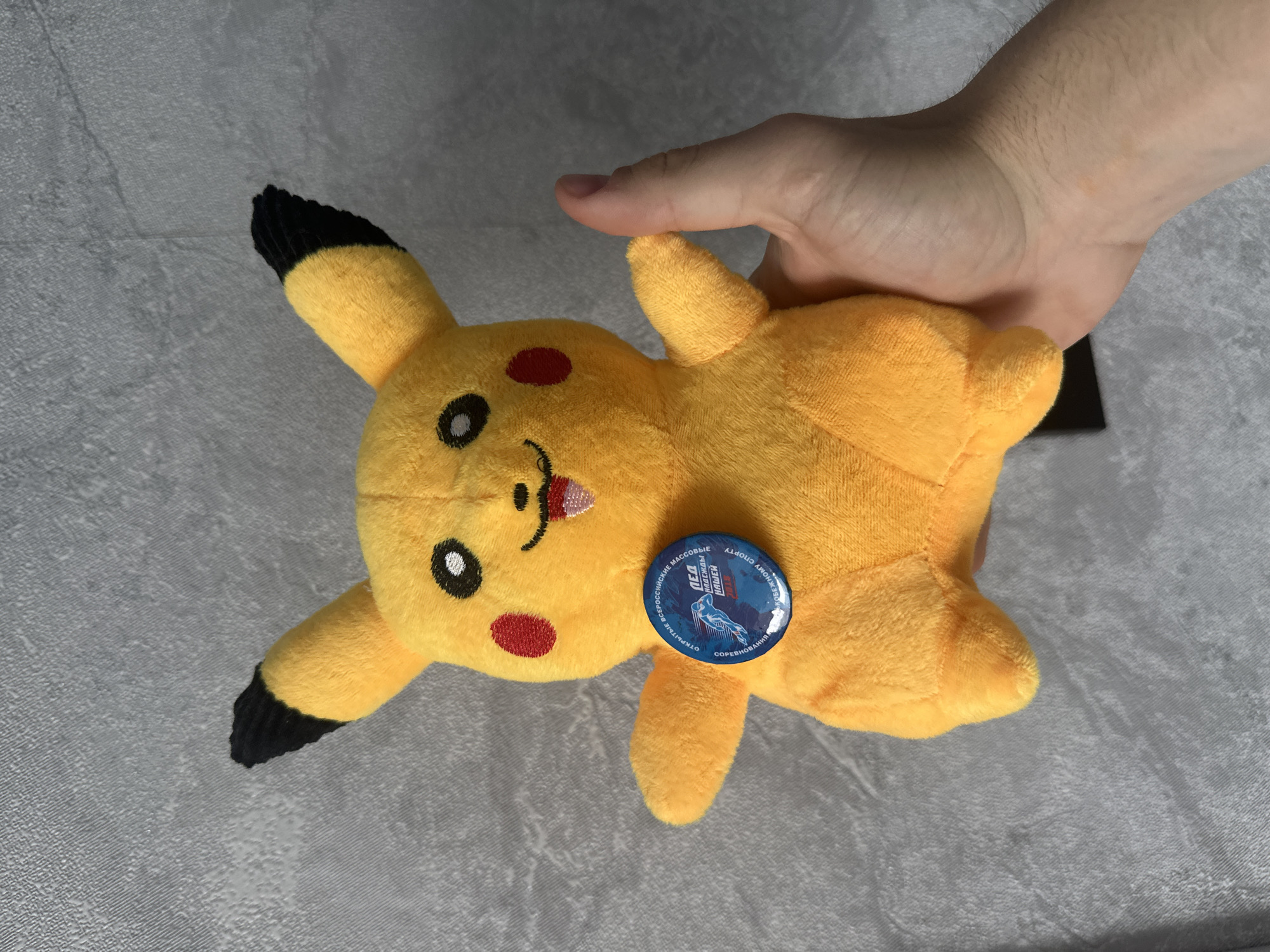 A plush toy of the character Pikachu, a yellow, mouse-like creature with black-tipped ears, is held by a hand against a textured grey background. The toy has a round blue badge attached to its chest with text in Russian and an image of a skater. The background appears to be a wall or fabric with a subtle pattern. The image does not provide any information about the city of Birobidzhan, Russia, or any specific location.