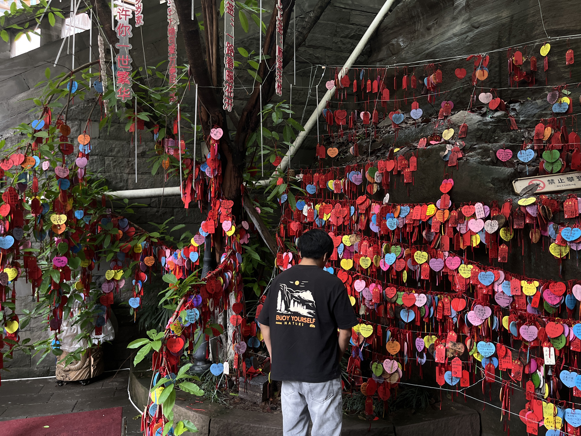 A person stands in front of a wall densely covered with colorful heart-shaped tags, each hanging by a red string. The location is possibly in Yuzhong District, China, as the style of the environment, architecture, and tags suggests an Asian cultural context, likely China.
The person, seen from the back, is wearing a black t-shirt with a graphic of a forest landscape and the words "ENJOY YOURSELF - ADORE NATURE" on the back. They are also wearing gray pants. Their head is turned towards the wall of tags, as though they're reading or looking at the messages on the tags.
The wall is textured and dark, appearing to be a rock face or a stone structure. Strings are stretched across the wall, supporting the multitude of tags. The tags are various colors, including red, yellow, blue, green, and pink. Many appear to have writing on them.
To the left of the person is a tree or a large shrub, also adorned with similar tags. The surrounding environment is urban, with a stone-paved floor. A pipe runs horizontally through the space. A sign on the wall reads "No Climbing" in Chinese and English.