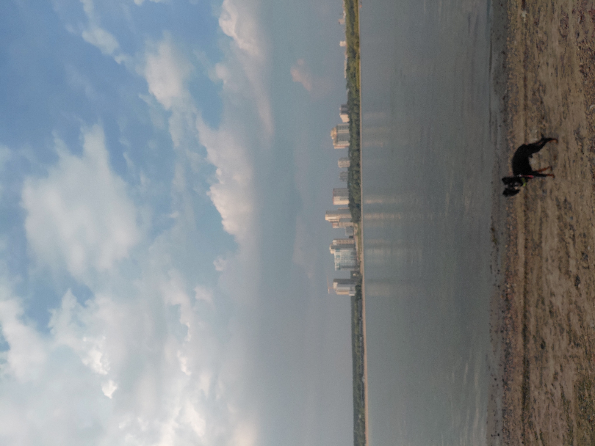 A small black dog stands on a sandy shore next to a large body of water. In the background, across the water, a modern city skyline with high-rise buildings is visible, flanked by a line of green trees. The sky above is filled with white, fluffy clouds against a backdrop of lighter blue. The water is calm and reflects the cityscape. The sand on the shore is a mixture of fine sand and small pebbles. The dog is facing to the left, with its ears perked up, and appears to be looking towards something off-camera. The overall scene suggests a peaceful day by the water in an urban environment.
