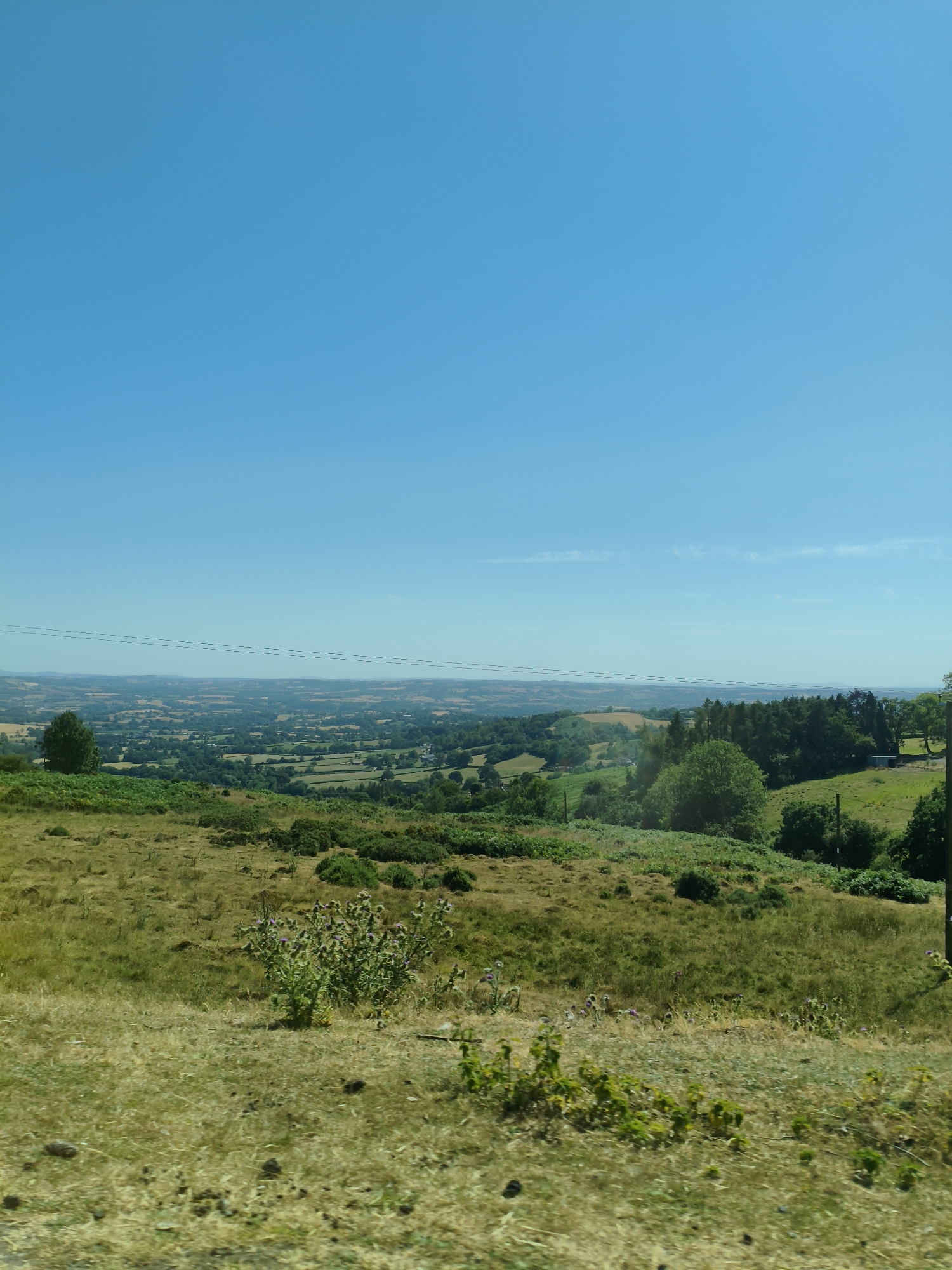 An expansive, clear blue sky dominates the upper half of the image, stretching over a rolling landscape of rolling hills and fields in Cleehill, United Kingdom. The foreground consists of dry, yellowed grass with scattered patches of green vegetation and some dark soil clumps. Further back, a patch of green thorny plants with small purple flowers stands out. The mid-ground features more varied terrain, with patches of green fields, dense clusters of trees, and the darker green of cultivated land. In the far distance, a hazy horizon is visible, with a faint line of hills or mountains. Power lines are strung across the sky in the mid-upper section of the image. The overall impression is a sunny, rural landscape. There are no people or animals visible.