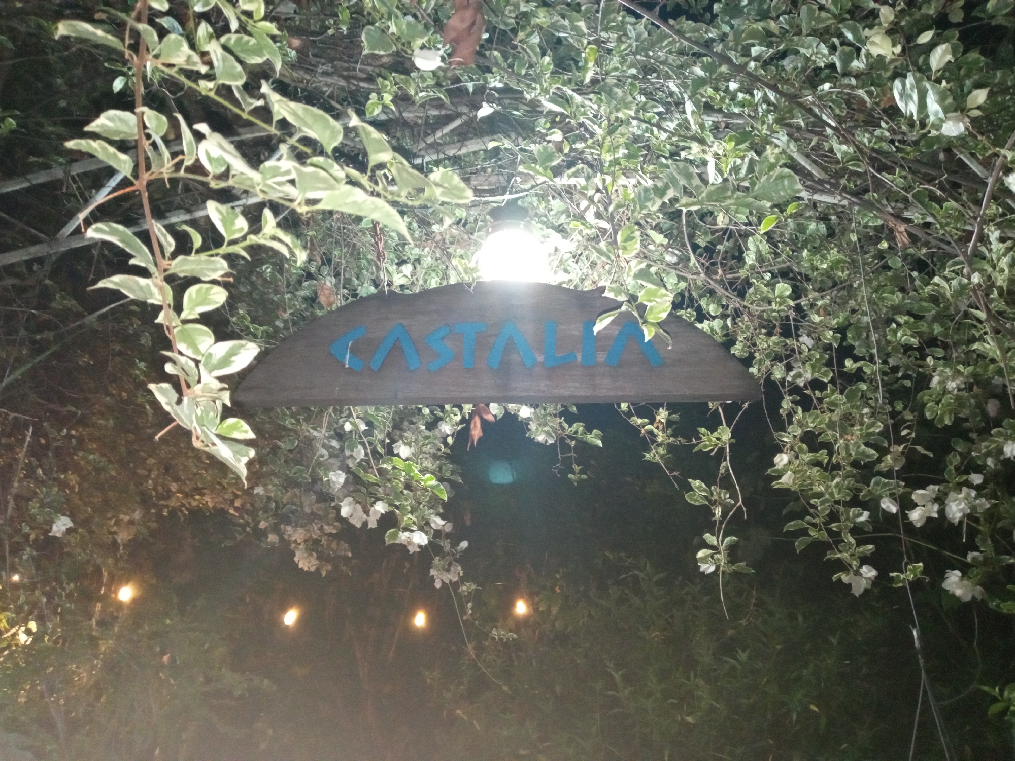 The image shows a dimly lit, overgrown entrance to a location called "CASTALIA" in El Limón, Venezuela. The name is painted in light blue on a dark, semi-circular wooden sign hanging beneath a bright light. The entrance is framed by dense foliage, including vines with green and white variegated leaves, and potentially bougainvillea with white flowers. String lights are visible in the background, suggesting an outdoor or garden setting. The overall impression is of a somewhat secluded, possibly rustic or naturalistic venue.
