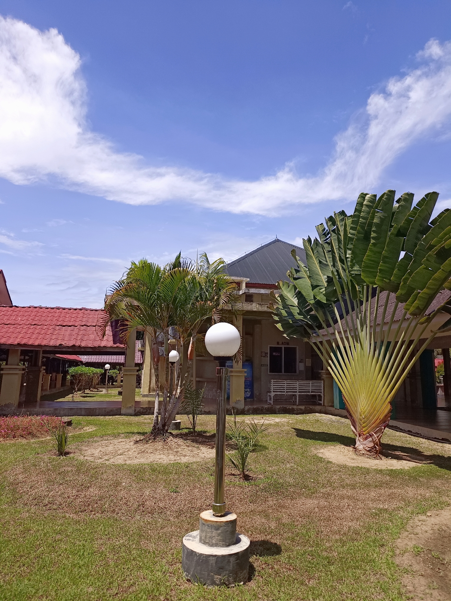 The image depicts an outdoor scene in Mesjid Reuntoh, Indonesia, on a sunny day with a partly cloudy blue sky. In the foreground, a modern lamp post with a spherical white light fixture stands on a concrete base, casting a shadow on the dry grass. To the right, a large traveler's palm tree with its characteristic fan-shaped leaves dominates the view. Behind the palm tree, a building with a dark, sloping roof is visible, featuring a covered walkway supported by pillars. Further to the left, a row of buildings with red tiled roofs and covered verandas extends into the background. Scattered palm trees and small bushes are also present in the landscape. A white bench is positioned under the covered walkway of the central building. The ground is covered with a mixture of dry and green grass, with patches of bare soil. The overall impression is of a well-maintained outdoor area next to administrative or residential buildings in a tropical climate.