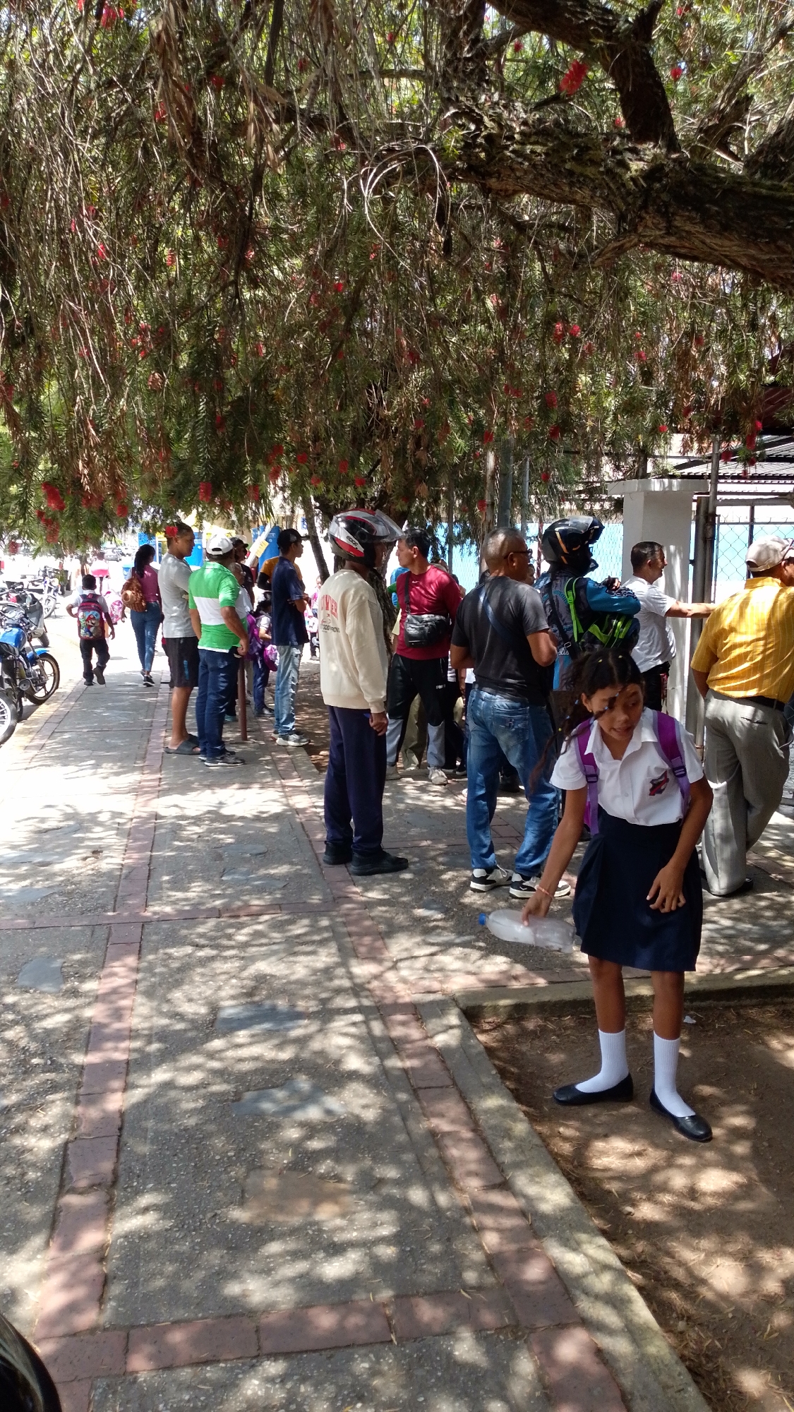 The image captures a scene on a sidewalk in Tinaquillo, Venezuela. A line of approximately 15 people stands along a brick-bordered sidewalk, under the shade of a tree laden with red flowers. The majority of the individuals are casually dressed, with some wearing motorcycle helmets. A young schoolgirl in a white shirt, navy skirt, white socks, and black shoes stands in the foreground, holding an empty water bottle. Several motorcycles are parked on the left side of the frame. A white wall and metal fence are visible in the background.