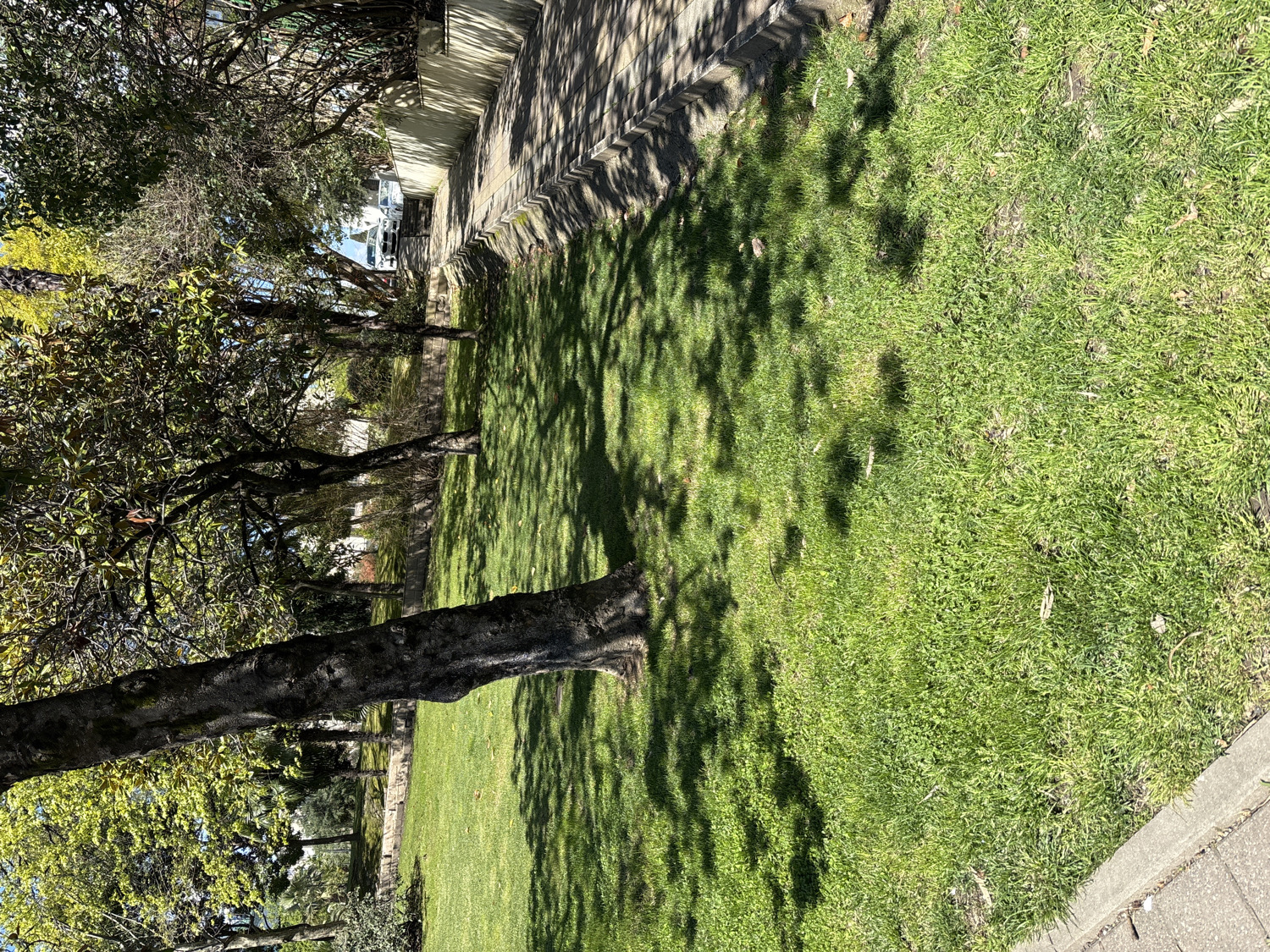 This media file captures a sunlit outdoor scene, likely a park or a landscaped area alongside a path, in Sochi, Russia. The image is dominated by a large expanse of vibrant green grass on the right and center, stretching towards the background. Along the left side, a row of mature trees stands tall, with visible dark, textured trunks and branches. The foliage varies among the trees; some are densely covered in green leaves, while others show sparser leaves or more bare branches, suggesting different species or seasonal variation.
A concrete sidewalk or curb forms a clear boundary along the far right edge of the grassy area. Bright sunlight illuminates the scene, casting long, distinct shadows of the trees across the grass and onto the paved areas. These shadows are a prominent feature, indicating a clear, sunny day, likely mid-morning or late afternoon, given their length and definition. In the background, beyond the line of trees, hints of another paved area or structures can be vaguely seen.
There are no people or discernible activities taking place, creating a peaceful and serene ambiance. No visible text is present in the image. The overall impression is one of natural beauty and tranquility in a well-maintained outdoor space.