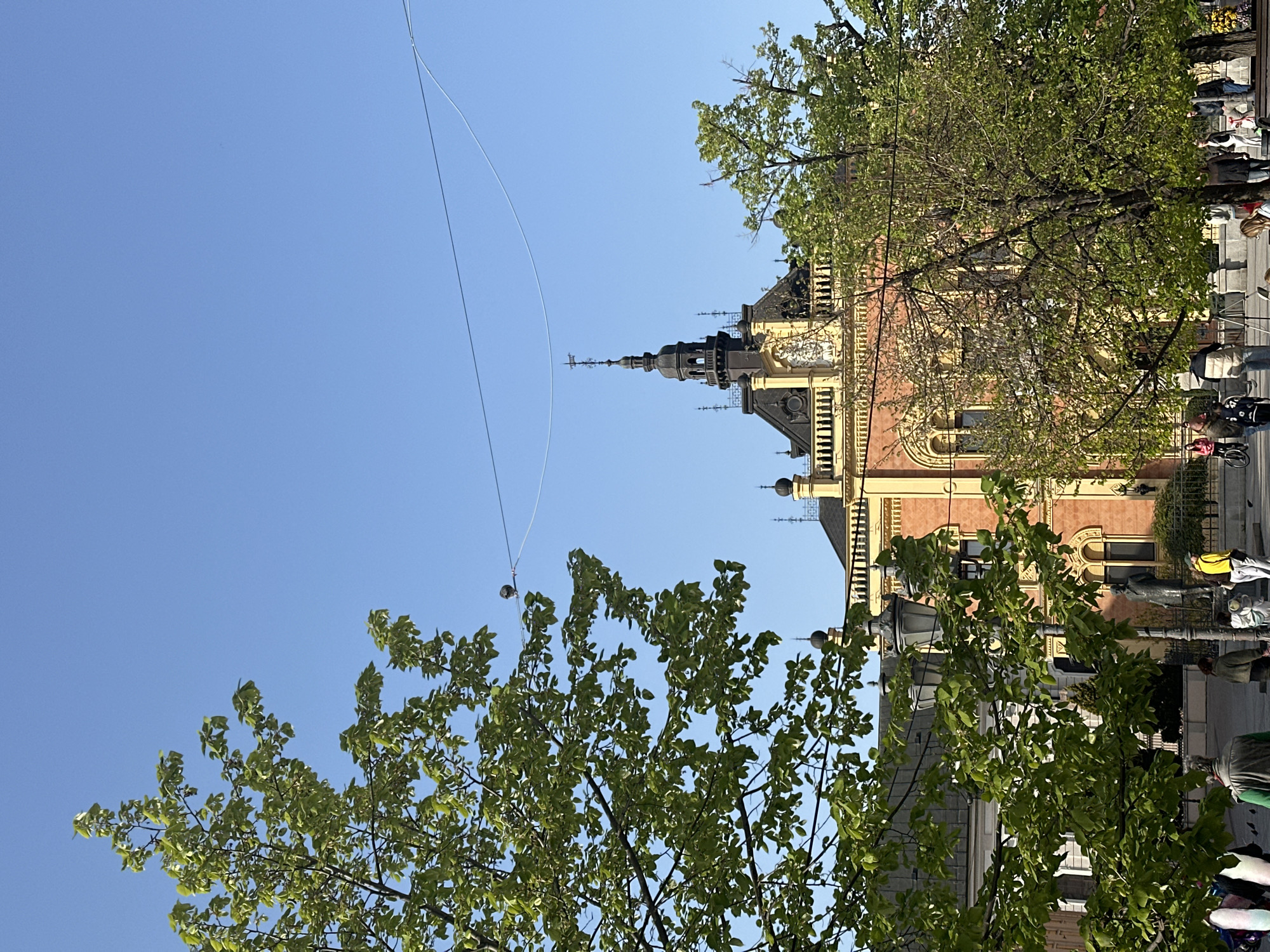The image captures a scene in Novi Sad, Serbia, featuring a partial view of the Roman Catholic Name of Mary Church, with its characteristic spire and ornamented facade, juxtaposed against trees in full leaf. A curved cable stretches across the clear blue sky, extending from behind the trees. Pedestrians are partially visible along the street level, indicating an urban environment.