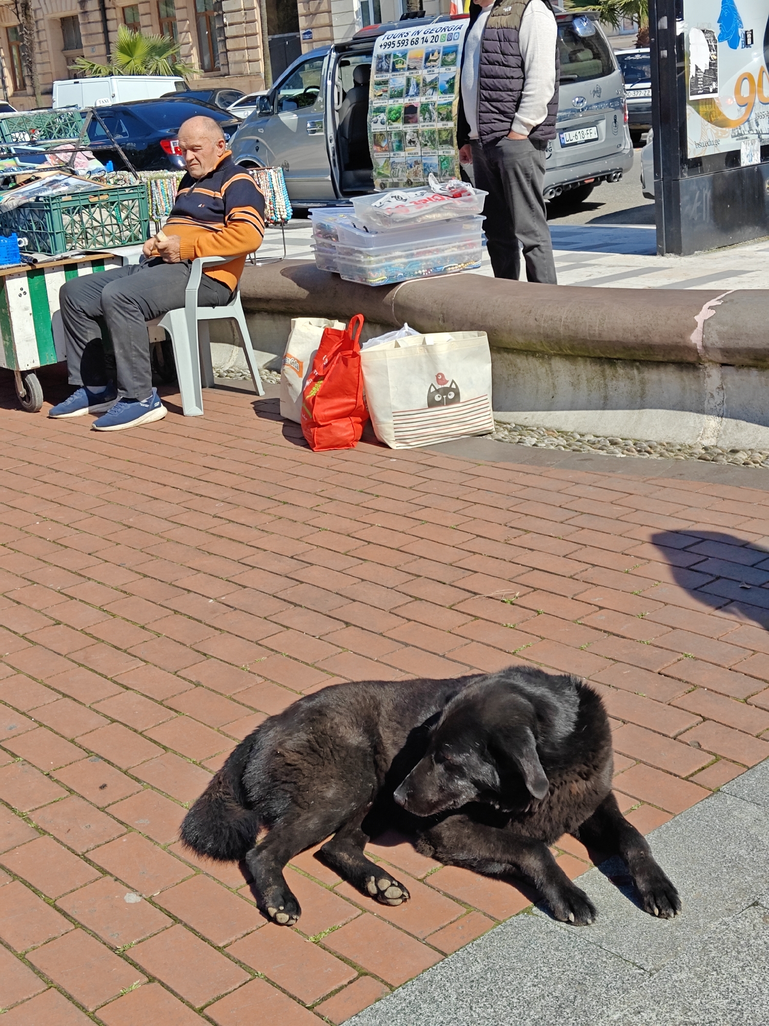 The image shows a street scene in Batumi, Georgia, on a sunny day. In the foreground, a black dog is lying on the brick pavement. In the middle ground, an older man wearing an orange and black sweater sits on a white plastic chair next to a cart laden with merchandise, likely beads and jewelry. A person in a vest stands nearby. Bags are placed next to the man and against a raised ledge, behind which a parked silver van with an open side door reveals more merchandise inside. A black car is parked nearby. In the background, buildings and a palm tree are visible. A sign with Georgian script and the text "TOURS IN GEORGIA," "+995 593 68 14 20" and "bsuedu.ge" is posted on a nearby post. The license plate on the silver van reads "LL-618-FF".