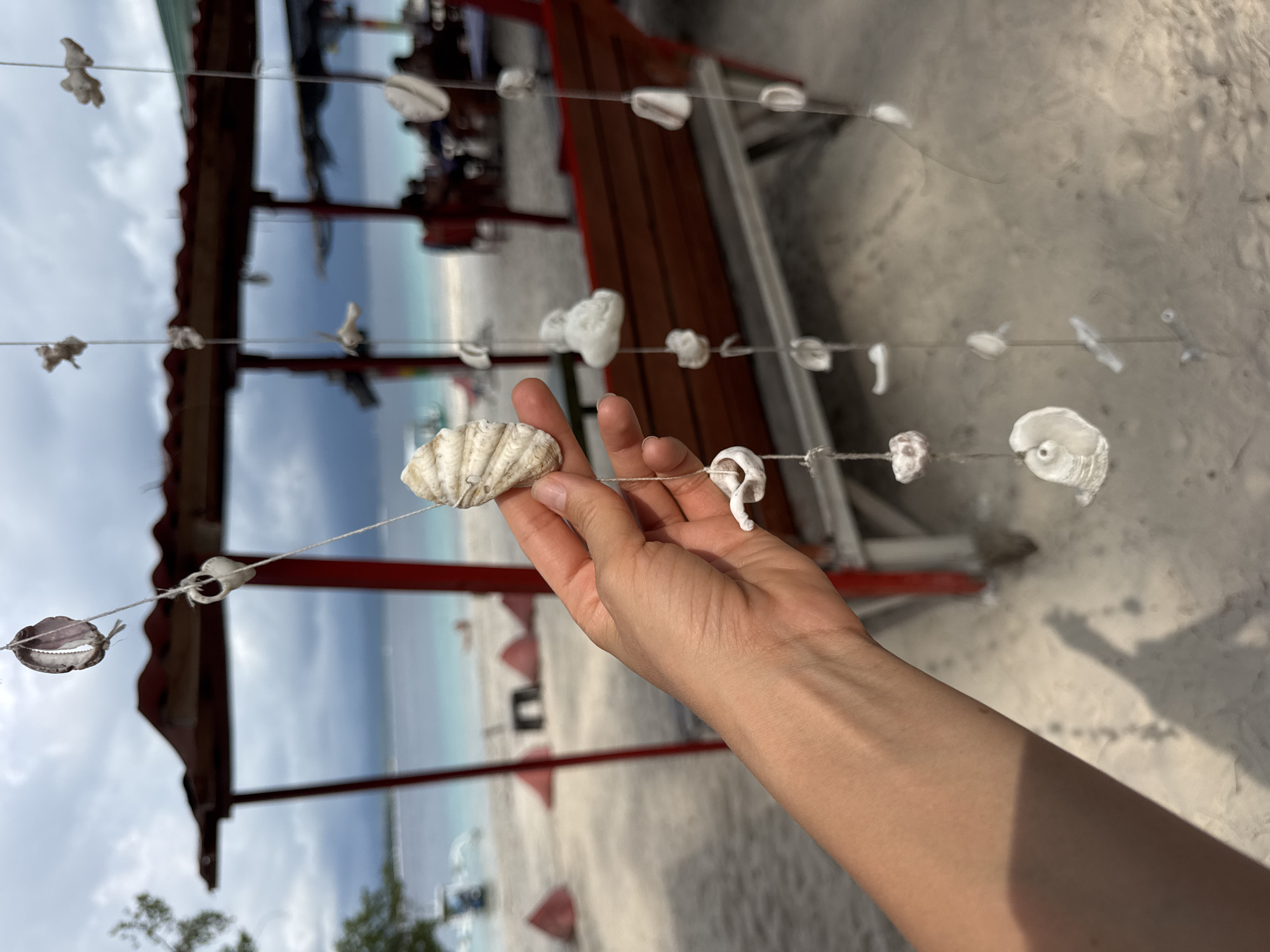 A human hand holds a large shell strung on a line of smaller shells. The shells are strung between parts of a wooden structure, with a beach and ocean in the background. The location is Unknown, Indonesia.