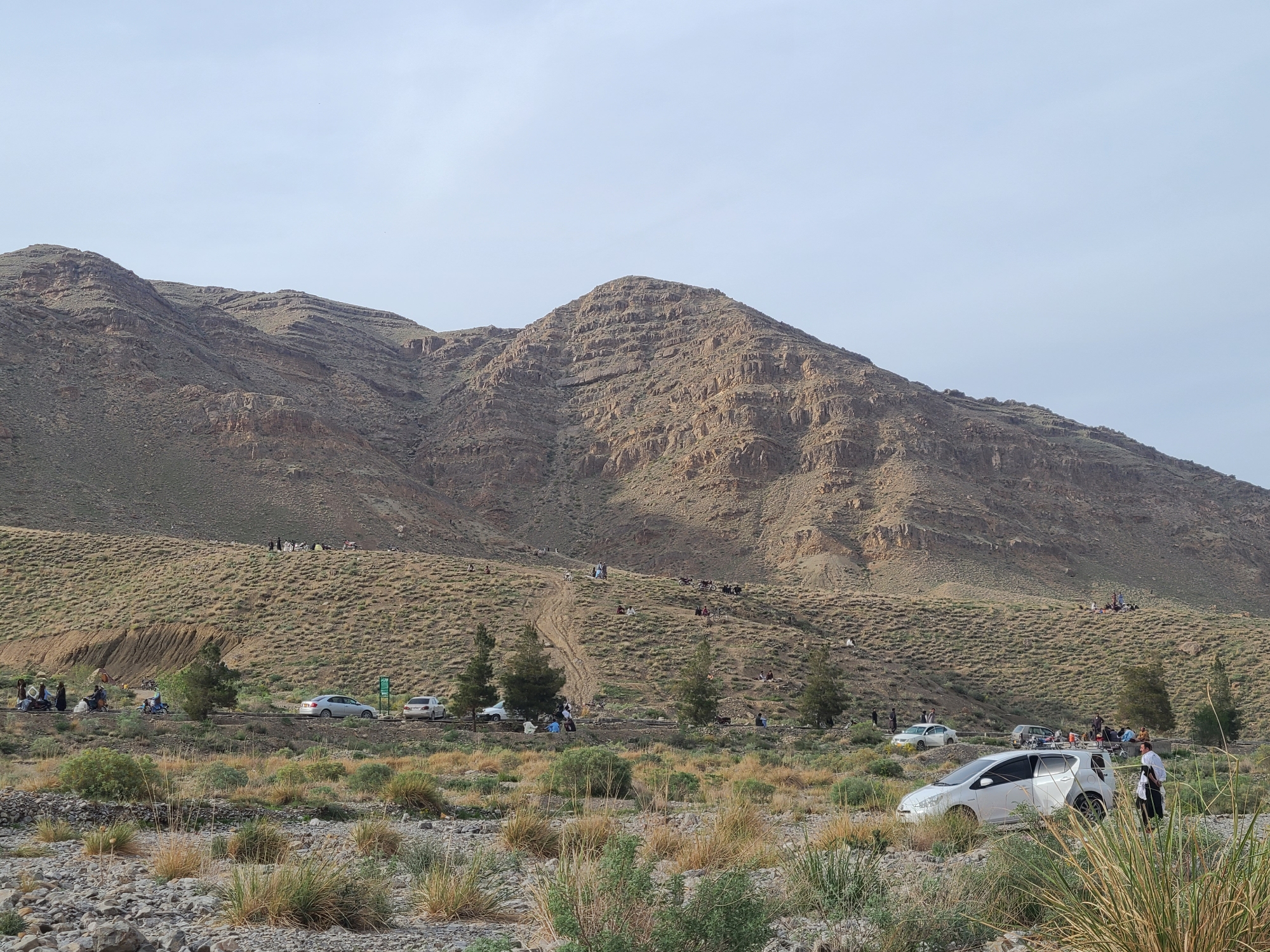The image depicts a wide outdoor scene in a mountainous, arid region, likely during the daytime under a lightly overcast or hazy sky. The overall impression is one of a recreational gathering or outing.
In the background, dominant brown and tan mountains rise prominently, showing distinct geological layers and rugged, rocky textures. Sparse, light-green vegetation dots the mountain slopes. The sky above is a pale, uniform blue-gray.
The middle ground features a wide, gently sloping hillside covered in dry, light-brown and green grasses and low shrubs. Several dirt tracks or unpaved roads crisscross this area. Many people are scattered across this hillside; some are sitting on the ground in small groups, possibly picnicking, while others are standing or walking. A noticeable track winds its way up the hillside towards the crest, with people visible along its length. A few evergreen trees are sparsely distributed near the main track/road.
In the foreground, the terrain is rough and rocky, characteristic of a dry riverbed or wadi, with clumps of dry grass and green shrubs. A white hatchback or small SUV is prominently parked in this rocky foreground, partially obscured by the vegetation. Another silver sedan is visible further back on the main track, near a green informational sign whose text is unreadable. Several other cars of various colors are parked or moving along the tracks.
People are also present in the foreground and mid-ground near the tracks and parked cars. In the left portion of the image, a group of people, some dressed in dark, possibly traditional, clothing, are gathered near the track, and a person on a scooter is also visible. On the right, a man in a white tunic and dark pants stands near the white hatchback in the foreground, looking towards the left.
The activity appears to be a leisure outing, with many individuals and groups enjoying the mountainous landscape. There are no obvious signs of distress or unusual events, suggesting a peaceful and relaxed atmosphere.