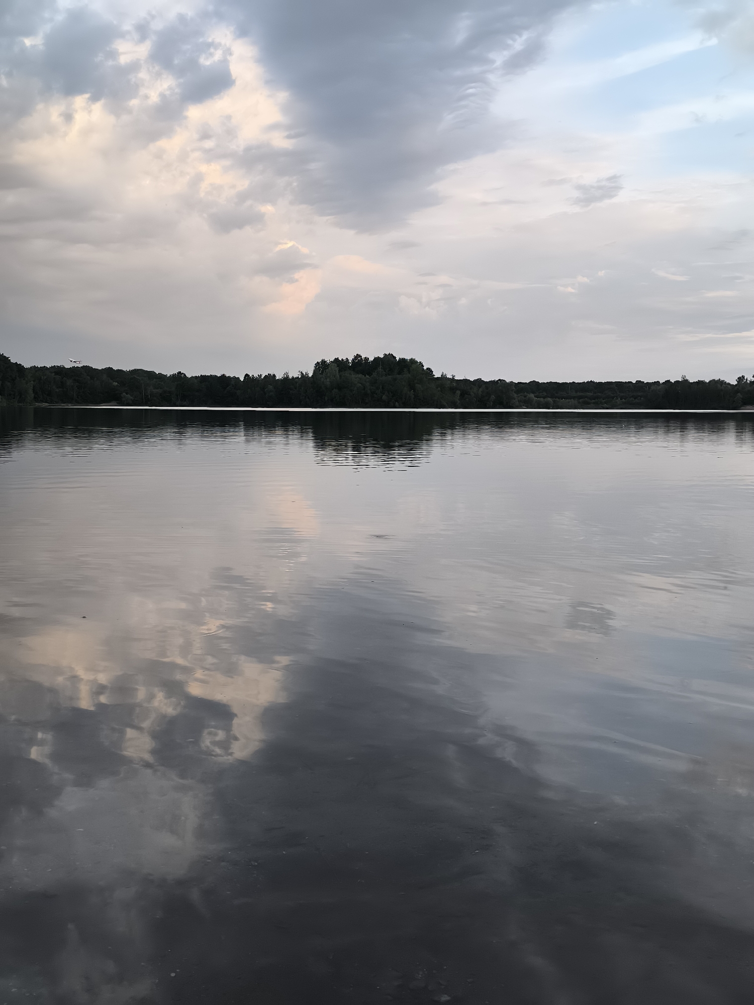 The image shows a tranquil lake with a forest line in the distance, reflecting the cloudy sky. There is no visible indication of the location being in Dusseldorf, Germany, nor are there any people, objects, or actions depicted in the scene. The environment is a natural landscape with calm water and a cloudy sky.