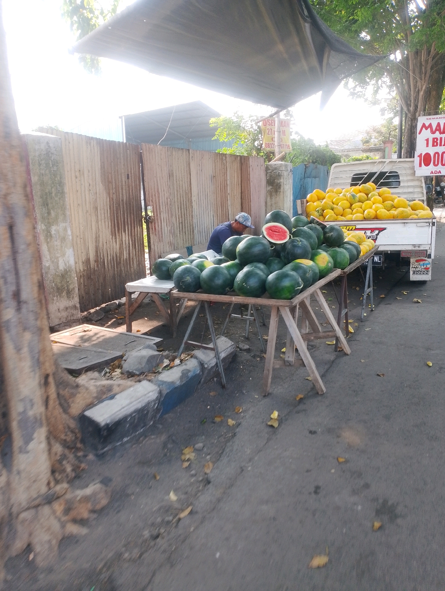 The image depicts an outdoor fruit stand in Probolinggo, Indonesia, likely on a street or roadside. A man wearing a blue shirt and a baseball cap is visible behind a table laden with watermelons. The watermelons are of various sizes and some are cut open, revealing their red flesh. Behind the watermelon display, a white truck is parked, filled with a large quantity of yellow fruits, possibly papayas or mangoes. A sign with red and white text is attached to the truck, advertising prices in Indonesian Rupiah, indicating "SEMANGAT" and "MAKAN 1 BIBIT 1000" and "BUAH SEHAT." The stand appears to be set up under a makeshift awning made of dark fabric supported by poles. The background features a corrugated metal fence and some greenery, suggesting a semi-urban or rural setting. Fallen leaves are scattered on the ground. The scene is illuminated by natural sunlight, creating strong contrasts and shadows.