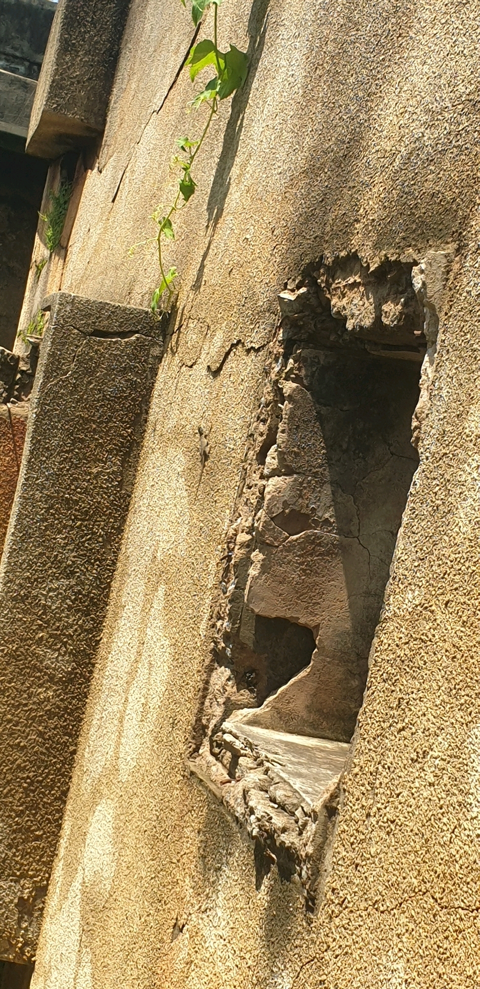 This is a close-up, angled shot of a distressed, textured concrete wall, possibly part of an ancient structure in Sabon Tasha, Nigeria. A thin vine with small green leaves snakes its way up the wall from the lower left. A roughly rectangular opening, jagged and broken at its edges, is visible in the center right of the frame, revealing darkness within. The wall's surface is heavily textured, with visible cracks and imperfections. A small lizard is perched on the wall to the left of the opening. The lighting suggests an outdoor environment with sunlight casting shadows.