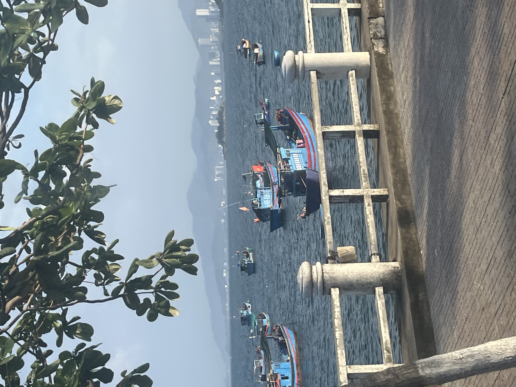 The image depicts a serene bay in Nha Trang, Vietnam, with numerous fishing boats of varying sizes dotting the calm, blue water. In the foreground, a concrete walkway is separated from the bay by a white railing and weathered stone posts. Lush green foliage from an overhanging tree frames the top of the scene, partially obscuring the hazy, mountainous horizon and a distant cityscape. The overall atmosphere is peaceful, suggesting a quiet morning or late afternoon in this coastal city.