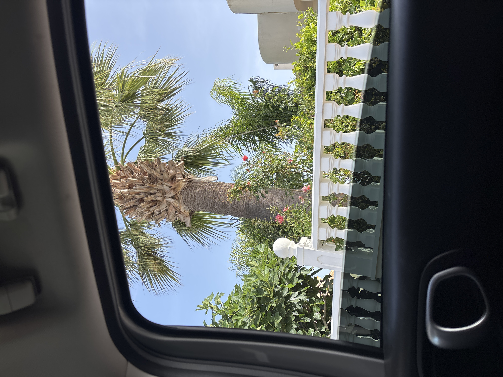 The image captures a view through a car window, looking out at a sunny outdoor scene in Orihuela, Spain. In the foreground, the dark interior of the car is visible, including a portion of a car door handle. Beyond the window, a white balustrade with decorative balusters is prominent. Behind the balustrade, lush green foliage and a tall palm tree dominate the landscape. Pink flowers are also scattered among the greenery. In the background, the top of a curved, light-colored building can be seen against a clear blue sky. The overall impression is one of a warm, Mediterranean setting.