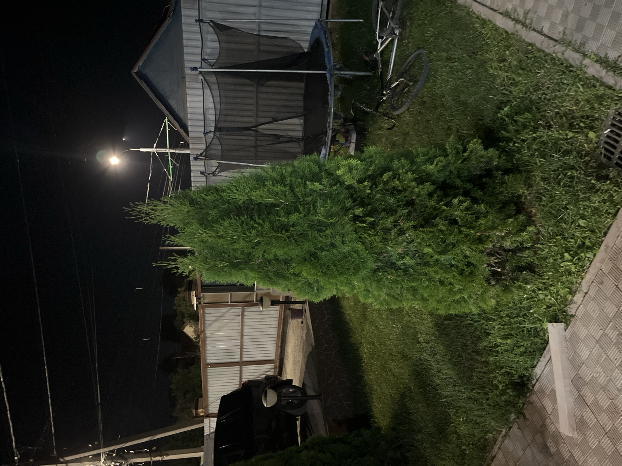 The image depicts a backyard scene at night, likely in Saratov, Russia, based on the provided context. A prominent, cone-shaped evergreen tree stands in the center of the frame. To the right, a trampoline with a black safety net is visible, and a bicycle is lying on its side on the grass in front of it. In the background, a light-colored fence separates the yard from neighboring properties. A black SUV is parked to the left of the fence, adjacent to a paved area. Outdoor lighting fixtures are present, including a street lamp overhead and smaller ground lights. The ground is covered in grass and paving stones. The overall scene suggests a residential outdoor space.