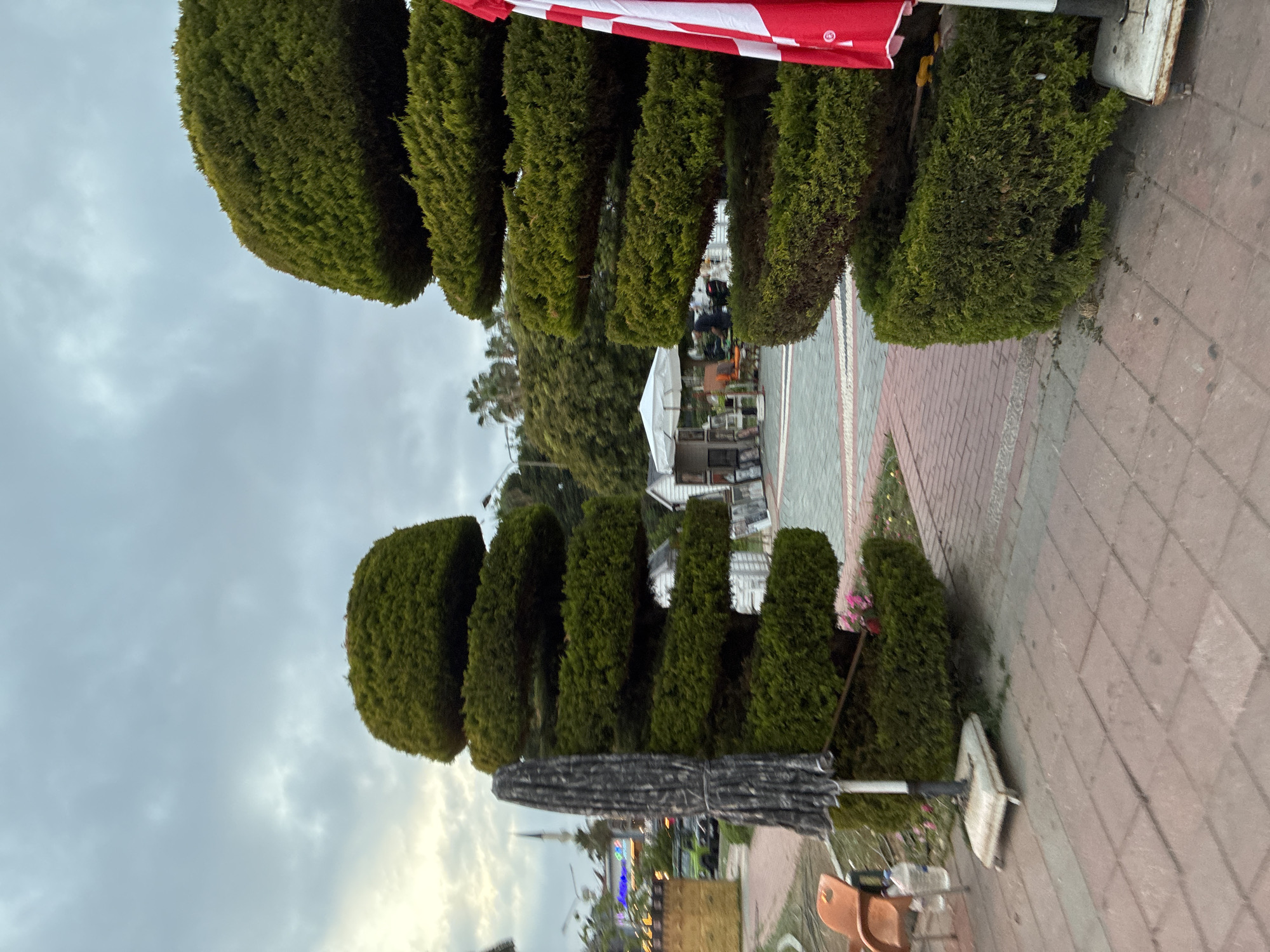 The image depicts an outdoor scene, likely a pedestrian area or promenade, characterized by meticulously trimmed, dark green hedges. These hedges, possibly cypress or similar topiary, form neat rows lining a paved pathway made of red and grey interlocking bricks.
In the midground, a folded dark umbrella with a white base stands next to a couple of brown/orange chairs, suggesting an outdoor seating area. A plastic bottle is visible on a surface near these chairs. Directly above this, a red and white striped banner or awning is partially visible, hanging from an unseen structure at the top right. Small pink flowers are planted behind some of the hedges.
In the background, several white tent structures can be seen, possibly indicating a market, an event, or outdoor dining facilities. Beyond these, a mix of trees and blurred urban elements, including streetlights, are visible. A distinctive tall, slender structure, resembling a minaret, stands out against the horizon, providing a clear cultural architectural cue for Alanya, Turkey.
The sky is overcast with a mix of light and darker clouds, suggesting either a cloudy day or late afternoon/early evening with fading daylight. No explicit activity is taking place, but the setup implies a public space designed for leisure or commerce. No legible text is visible in the image.
