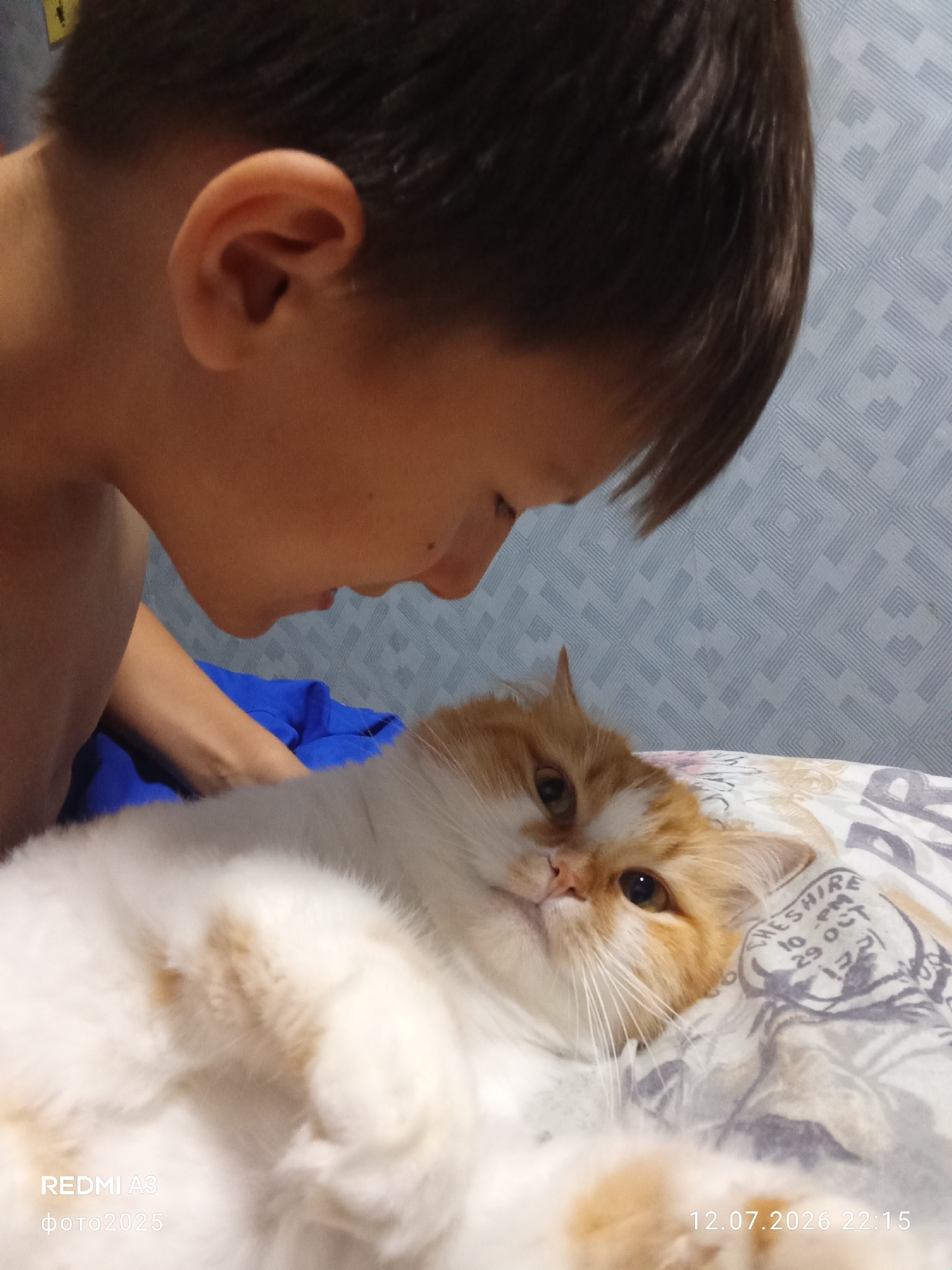 Memory
