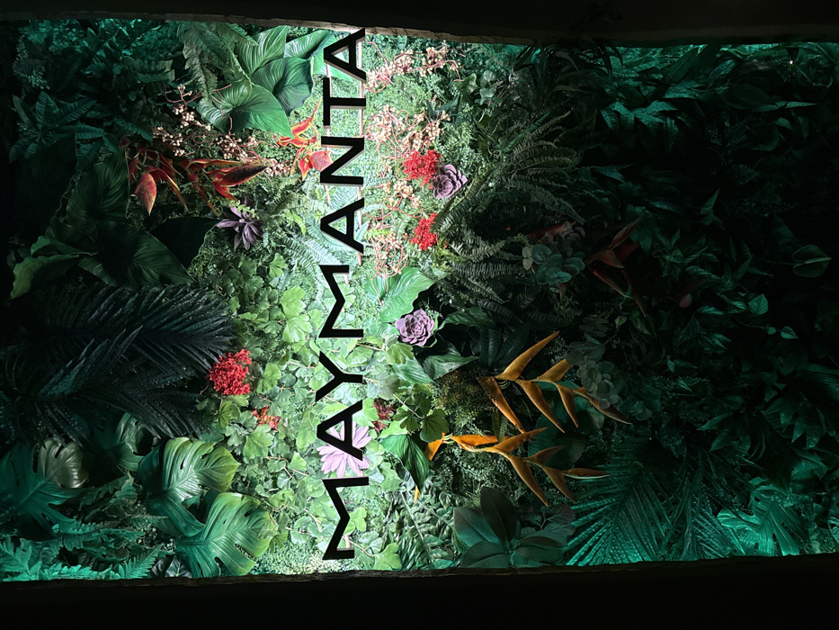 A lush green wall features varied tropical plants, including ferns, monsteras, ivy, and bird-of-paradise flowers. Accents of red, purple, and white blossoms dot the greenery. Bold black lettering, reading "MAYMANTA" vertically, bisects the composition. Lighting enhances the plants' texture and color, with a noticeable green tint at the lower right. The overall impression is that of a verdant, illuminated jungle wall.