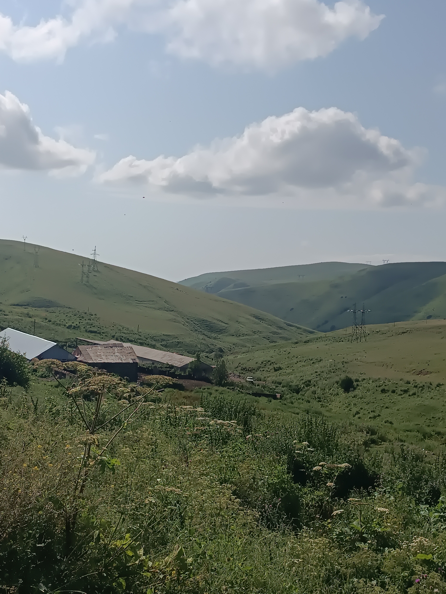 The image depicts a rural landscape with rolling green hills under a bright sky with scattered white clouds. In the foreground, there are several tall, leafy plants. Towards the middle ground, a cluster of buildings with metal roofs is visible, appearing to be farm structures. Several large metal electricity pylons are scattered across the hills, indicating infrastructure. The environment is predominantly natural with agricultural elements. The location is identified as Semyonovka, Armenia.