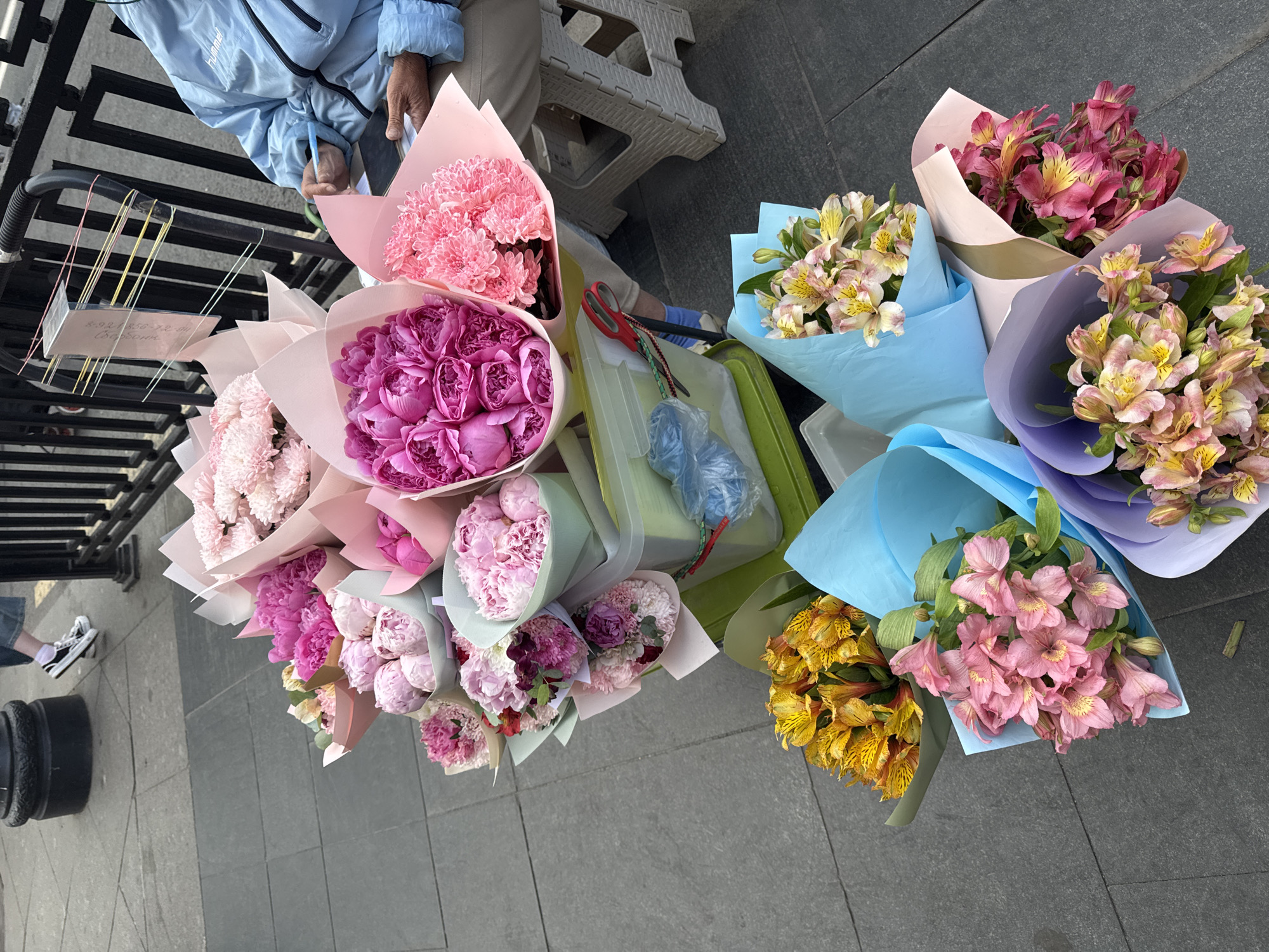 This image provides an overhead view of a street flower vendor's display in Saint Petersburg, Russia. A person, likely the vendor, is partially visible on the left side of the frame, wearing a light blue jacket with the "hummel" logo and beige pants. Their hands are seen near what appears to be a mobile phone, possibly for transactions.
The ground, a grey tiled pavement, is covered with numerous vibrant bouquets of freshly cut flowers, arranged for sale. The collection includes prominent bouquets of pink and deep purple peonies, mostly wrapped in pink paper. Also visible are light pink chrysanthemums and various mixed arrangements featuring lighter pink and white flowers, some wrapped in light green or cream-colored paper. To the right, several bouquets of alstroemeria are displayed, showcasing bright yellow, soft pink, and pink with yellow-accented varieties, predominantly wrapped in light blue and purple paper.
Among the flowers and vendor's setup, a pair of red-handled scissors rests in a green plastic container, hinting at flower preparation. A folded light grey plastic stool is also present. A black metal railing runs along the left edge of the scene. Attached to this railing is a small white sign with the text "8-921-656-72-81" and the Russian word "Свободна," which translates to "Available" or "Free," likely indicating contact information and the vendor's status. The scene captures a daytime commercial activity typical of an urban street market or roadside stall.