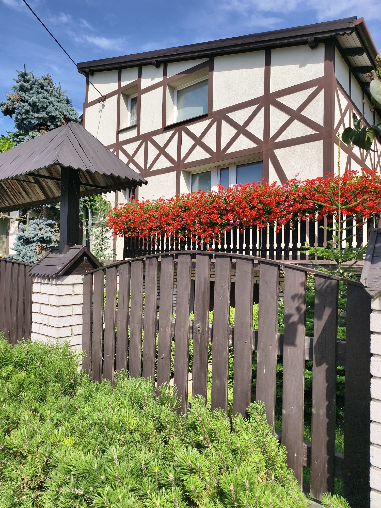 The image depicts a well-maintained residential property in Tczew, Poland, with a focus on the exterior of a building and its surrounding garden. The building features a distinctive half-timbered architectural style, with white stucco walls and dark brown wooden beams forming a decorative lattice pattern. Two windows are visible on the upper floor, and the lower floor has a planter box overflowing with vibrant red flowers, likely geraniums, which are a common sight in Polish gardens.
In the foreground, a dark brown wooden fence with vertical planks curves gently across the scene. To the left of the fence, a section of a light-colored brick pillar is visible, topped with a dark, ornate roof structure, possibly part of a gazebo or an elaborate well. Lush green pine bushes are planted in front of the fence, adding a touch of natural beauty. Behind the fence and the building, a mature conifer tree with bluish-green needles stands tall.
The sky above is a bright blue with scattered white clouds, suggesting fair weather. The overall impression is one of a tidy and picturesque home, typical of suburban or semi-rural settings in Poland. The scene is devoid of any people or visible activity, presenting a static, tranquil view of the property.