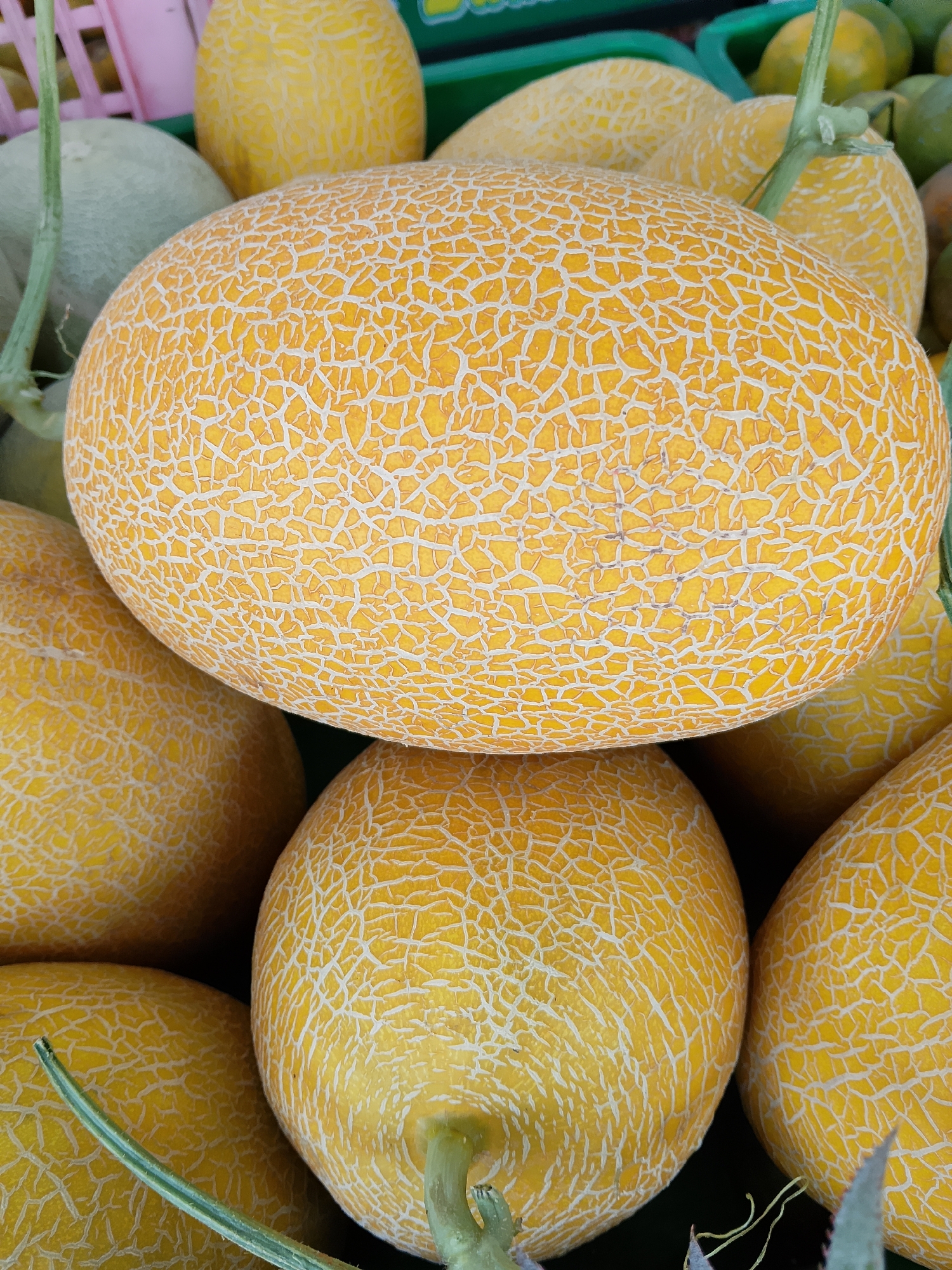In Karangboyo, Indonesia, a close-up, overhead shot showcases a pile of ripe cantaloupes at a market stall. The focal point is a large cantaloupe, positioned prominently in the foreground, its skin adorned with a distinctive net-like pattern of white veins against a vibrant yellow-orange background. Below and around it, several other cantaloupes are visible, similarly textured and colored, suggesting they are freshly harvested. In the upper left corner, hints of a light green melon and a pink basket can be seen, hinting at the broader market setting. The lighting is bright and natural, highlighting the fruits' textures and colors. No people are present in the frame.