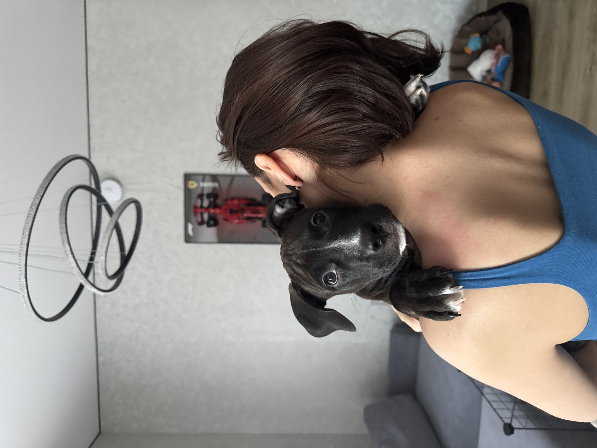 A woman with dark hair is holding a black puppy with white markings on her shoulder. The puppy's face is visible and it is looking at the camera. The woman is wearing a blue tank top. In the background is a wall with a picture of a race car and a modern, multi-ring chandelier. A dog bed is in the background. The photo was likely taken indoors. There is no indication of the location being Лобаново, Russia.