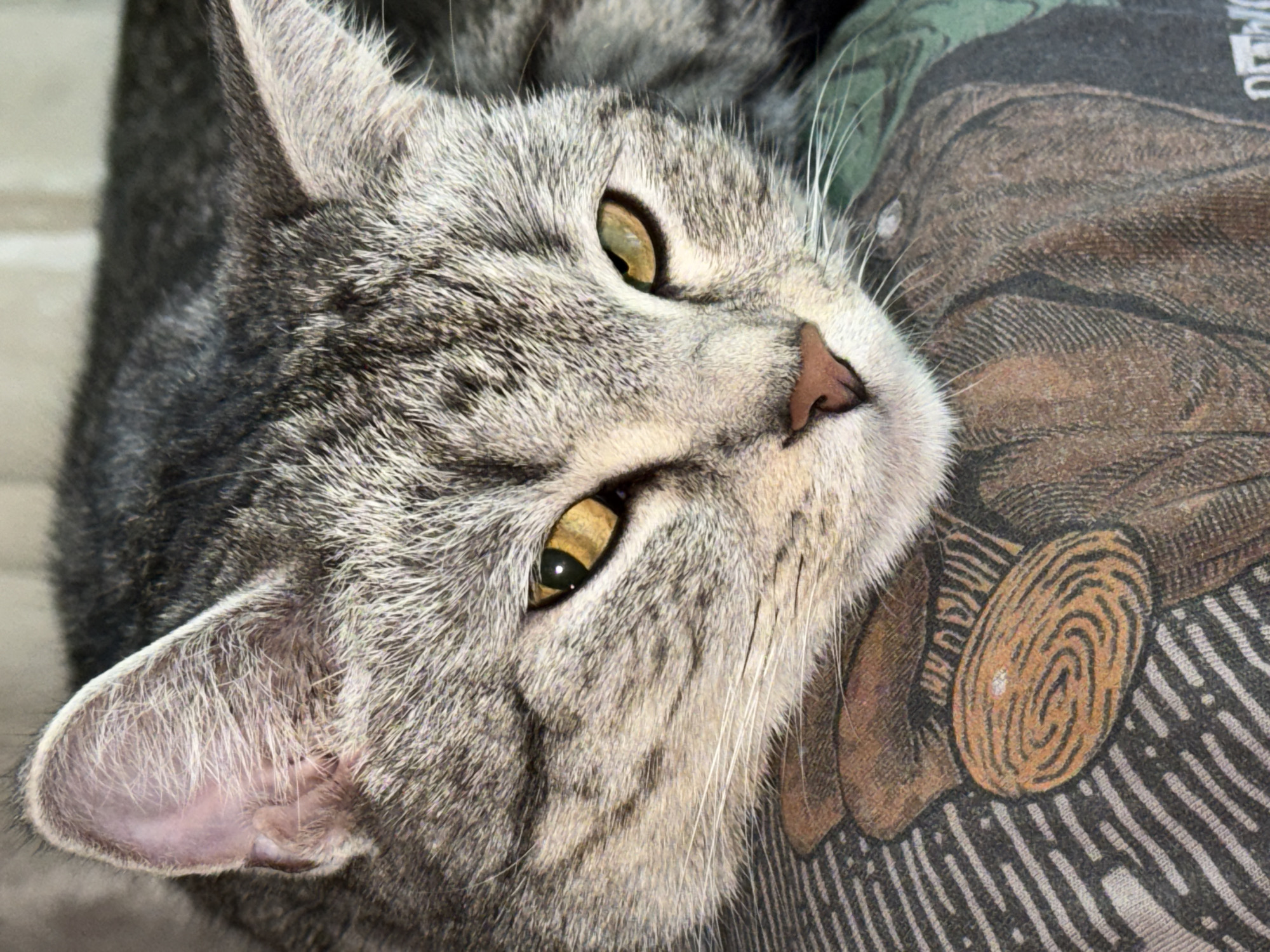 A close-up shot of a gray tabby cat's face is captured from a low angle, its head resting on what appears to be a patterned fabric. The cat's fur is a mix of gray and black stripes, with a lighter shade around its muzzle and eyes. Its eyes are a striking amber-yellow, with dark pupils. The cat's right ear is visible and shows delicate pink skin within its fur. A portion of its nose, a soft pink, is also visible. The background is softly blurred, suggesting the cat is indoors, likely in a domestic setting. The patterned fabric beneath the cat features brown and black linework, forming what looks like stylized illustrations of possibly wood grain or abstract shapes. There is no indication of the city of Ulyanovsk, Russia, or any other specific location in this image.