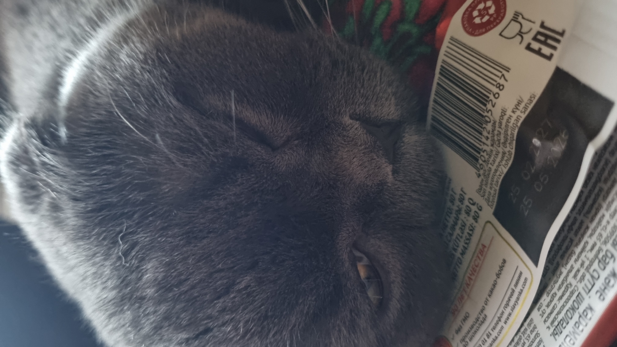 The image shows a close-up of a sleeping gray cat. The cat's fur is soft and appears to be a solid gray color. The cat's eyes are mostly closed, with one eye slightly open, revealing a yellow iris. The cat is resting on a surface that appears to be a package with text and a barcode. The text is in a foreign language and includes dates. The overall lighting suggests an indoor setting. The image is a still photograph, and no specific location in the city of Vysokoe, Russia, can be determined from the visual information provided.