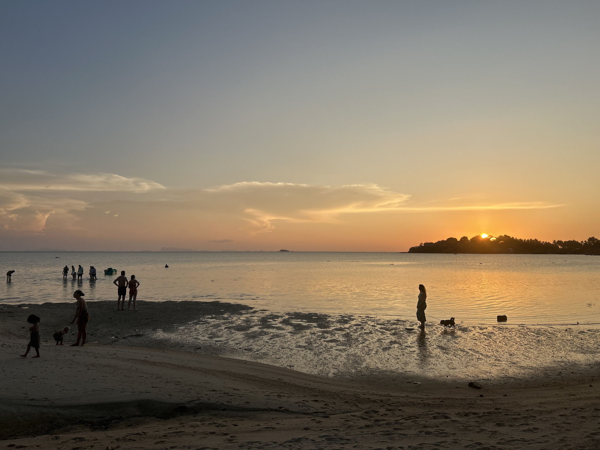 The image captures a sunset scene at a beach in Baan Sri Thanu, Thailand. A group of people are wading in the shallow water to the left of the frame. A child and adult are near the shore. A woman stands in the shallow water on the right side of the image, holding a dog on a leash. The sunset is over the small island. The sky is pale blue near the top and fades into a yellow and orange glow near the horizon. The tide appears to be low, revealing sand and mud flats.