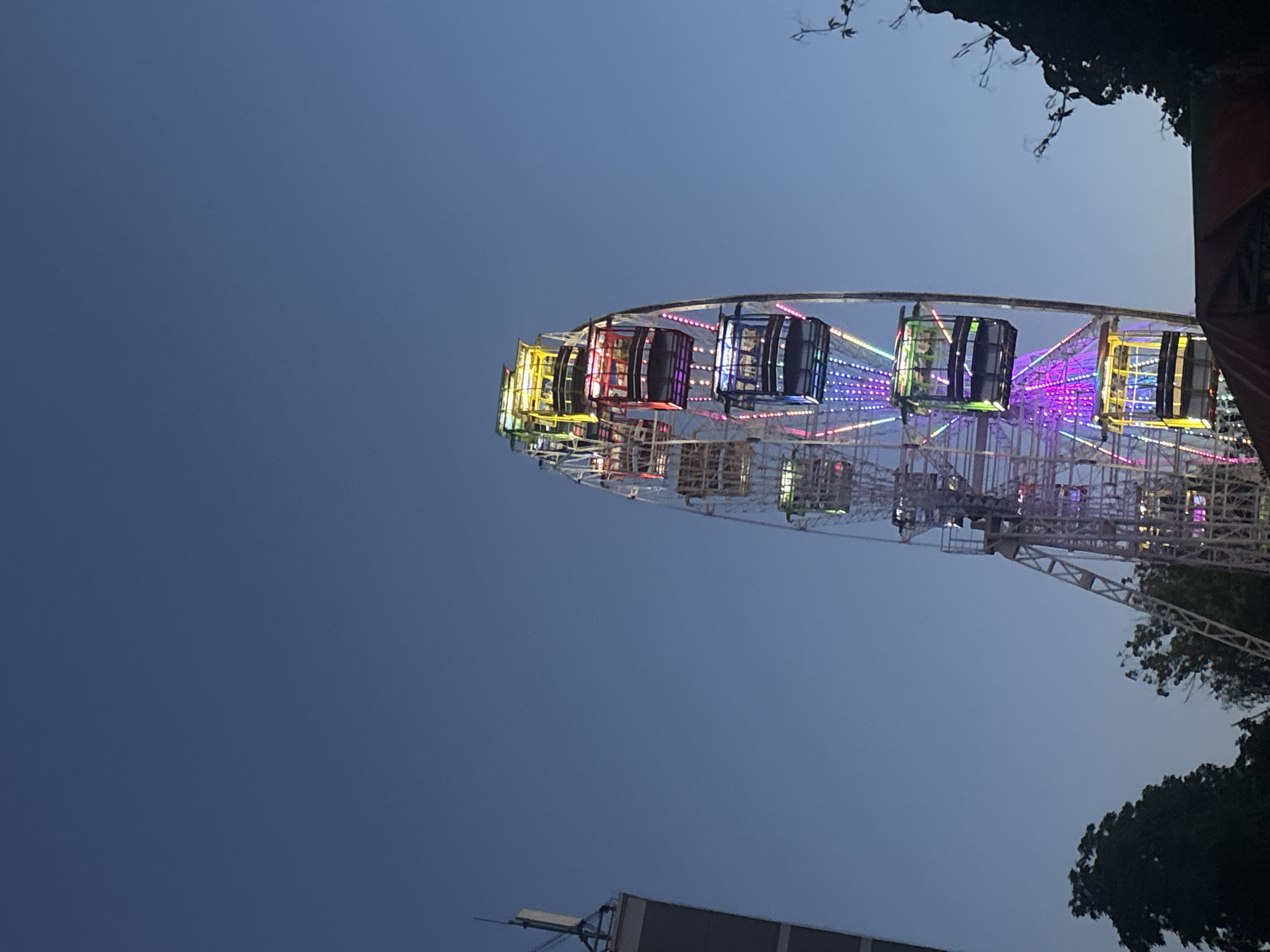 A Ferris wheel is captured in an upward shot against a clear, deep blue sky, likely at dusk or early evening. The Ferris wheel is illuminated with vibrant, multi-colored lights, including pink, purple, blue, green, and yellow, highlighting its skeletal structure and the gondolas. Several gondolas are visible, some with what appear to be occupants, each adorned with colorful lighting. To the left of the Ferris wheel, a portion of a tall, modern building with an antenna on top is visible. In the lower part of the image, dark green foliage from trees partially obscures the base of the Ferris wheel and the foreground. The overall scene suggests an amusement park or fairground setting in Bila Tserkva, Ukraine.