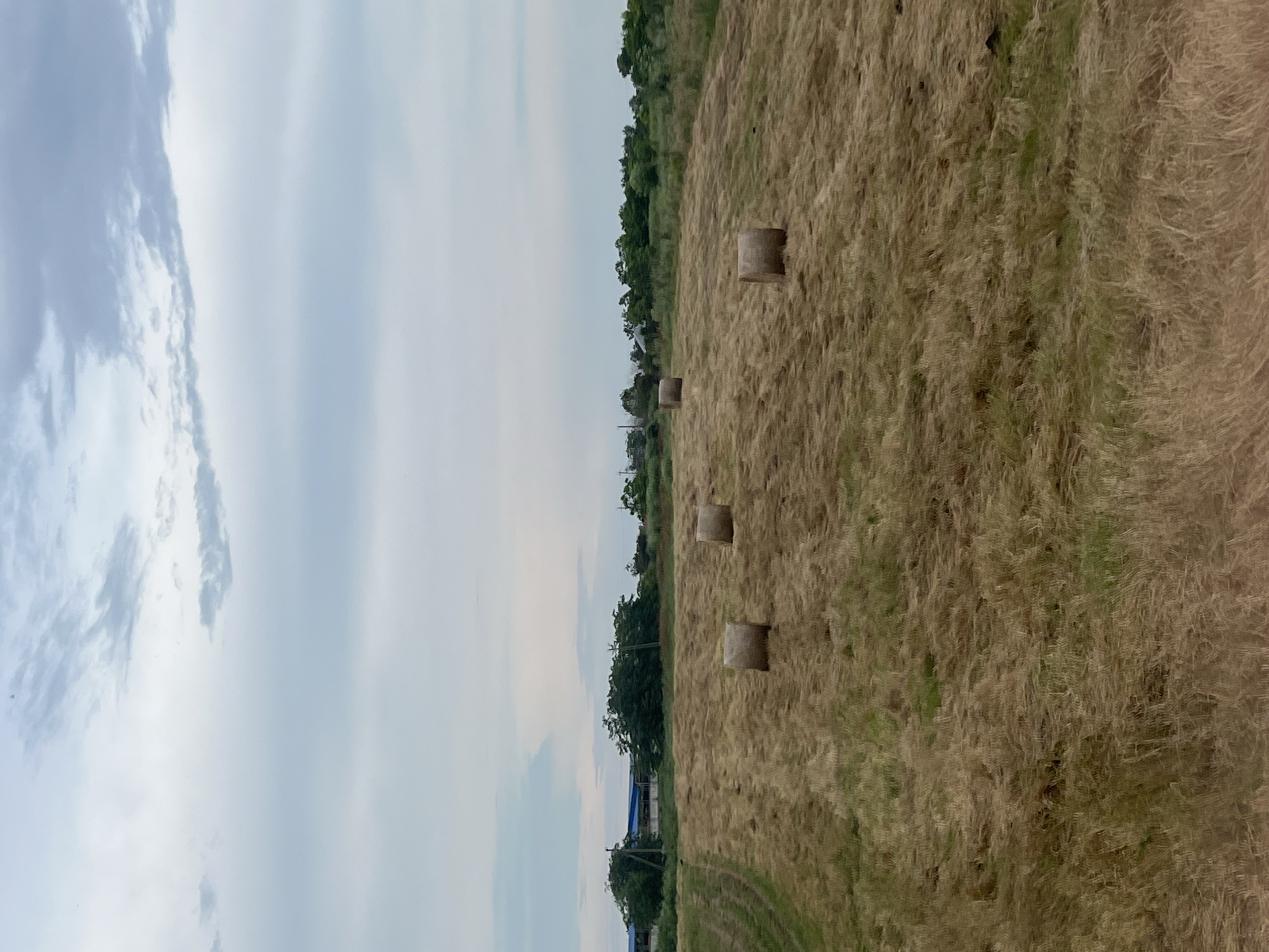A landscape image shows a field with hay bales under a cloudy sky. In the distance, there are trees and buildings. The field is mostly golden brown, with some patches of green grass. There are at least five hay bales visible in the field, which appears to be agricultural land. The sky is overcast with large clouds, suggesting it might rain soon. The scene is quiet and rural, with no people visible. The location is Ladovskaya Balka, Russia.