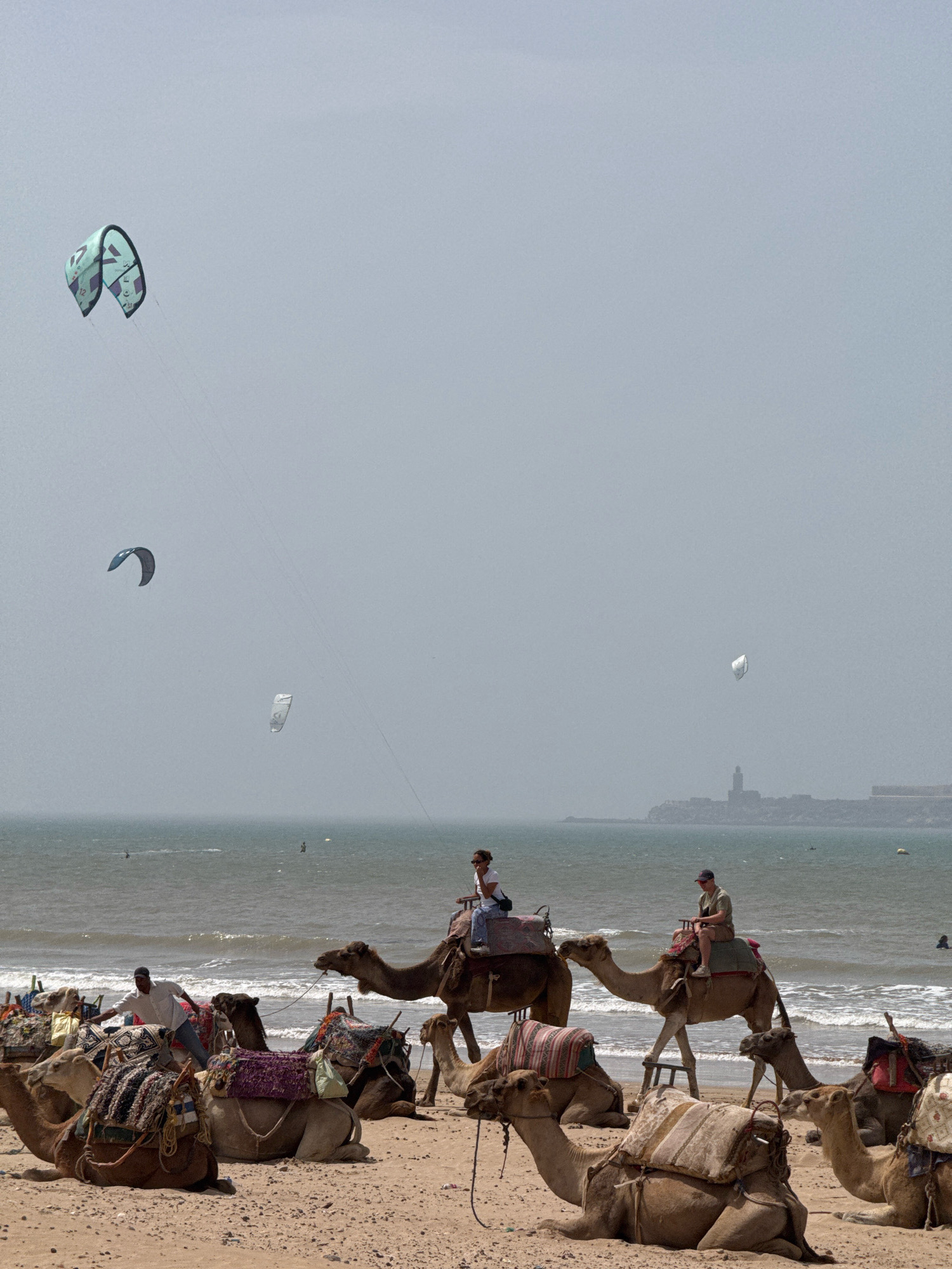 This is a wide shot photograph taken on a beach in Essaouira, Morocco. The foreground is dominated by several camels, some lying down and others standing. The camels are adorned with colorful saddles and blankets. In the middle ground, the ocean is visible with gentle waves breaking on the shore. A few individuals are in the water, possibly swimming or engaged in water sports. In the distance, along the coastline, a city skyline is discernible, with a prominent tower or minaret. The sky is overcast and a light hazy. There are at least two kites in the sky, one teal and black, and another white, indicating recreational activities like kite surfing. Several people are present on the beach, including some riding camels and others standing or walking. The overall atmosphere is one of a busy beach day with a blend of traditional camel rides and modern water sports.