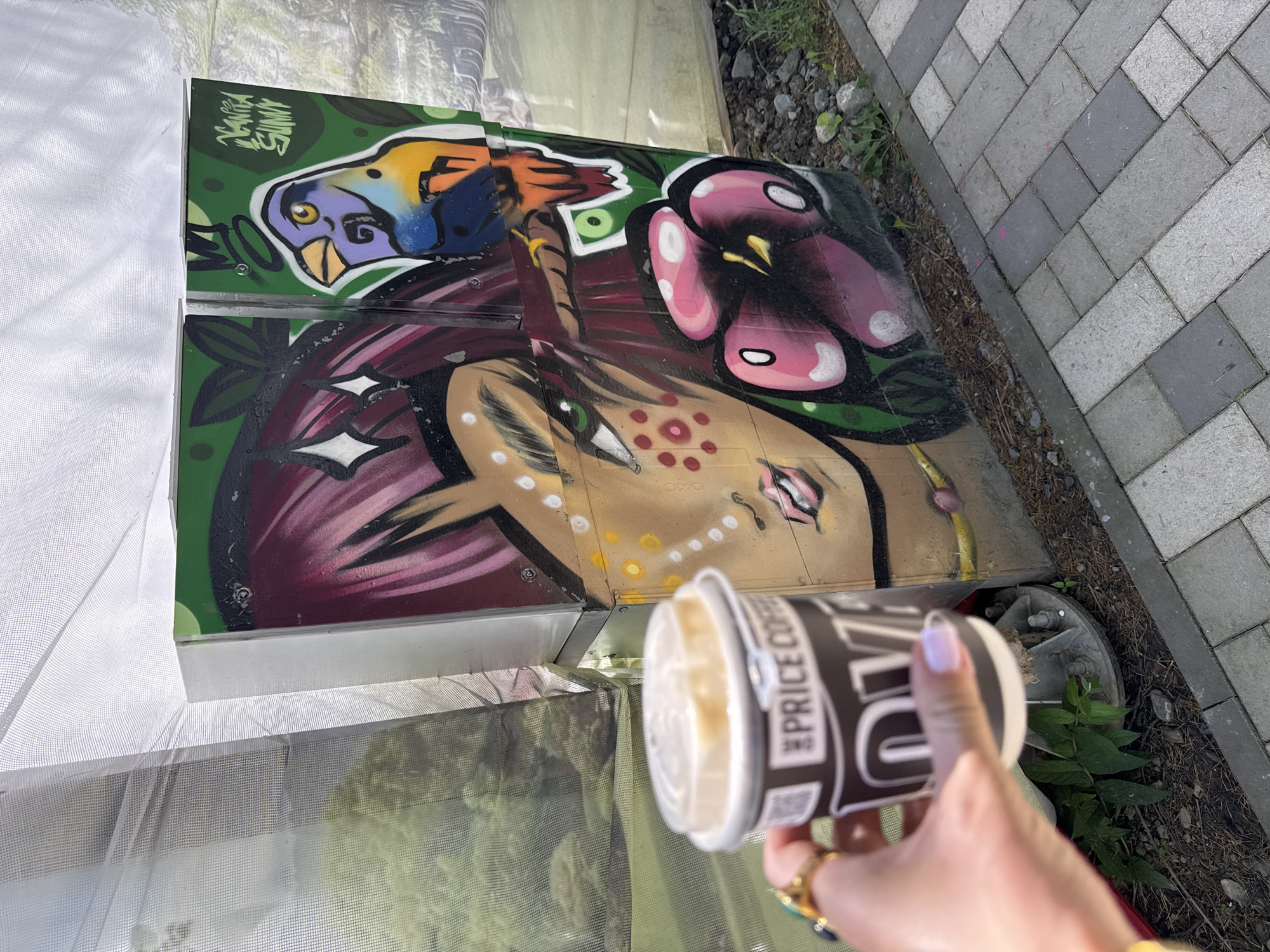 The image shows a hand holding a coffee cup in front of a graffiti mural. The mural is painted on the side of a metallic structure and depicts a stylized face with pink hair and green eyes, as well as a colorful bird. The background is obscured by a white tarp. The ground in front of the mural is a paved walkway. The coffee cup has a logo that says "PRICE COFFEE". The image does not contain enough information to determine the specific location in the city of Sochi, Russia.