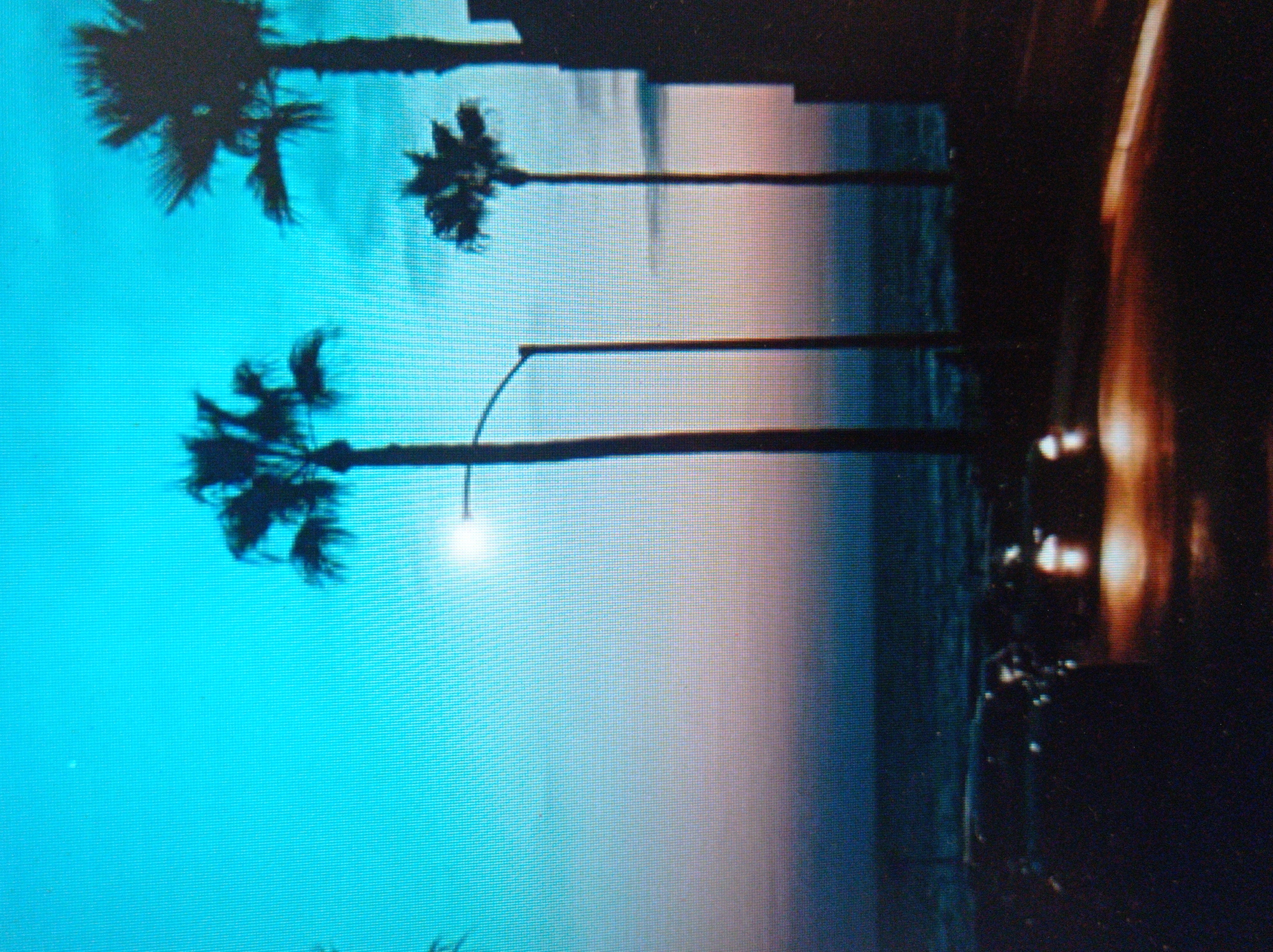 The image depicts a twilight scene with a clear, gradient sky transitioning from bright turquoise at the top to softer pinks and oranges closer to the horizon. Several silhouetted palm trees are visible against the sky, with one tall palm tree standing prominently on the right. In the foreground, a street is visible with headlights from at least two vehicles illuminating the dark asphalt. The ocean or a large body of water is suggested in the background. The scene appears to be a coastal urban environment during sunset or sunrise. This image is not located in Mukachevo, Ukraine.