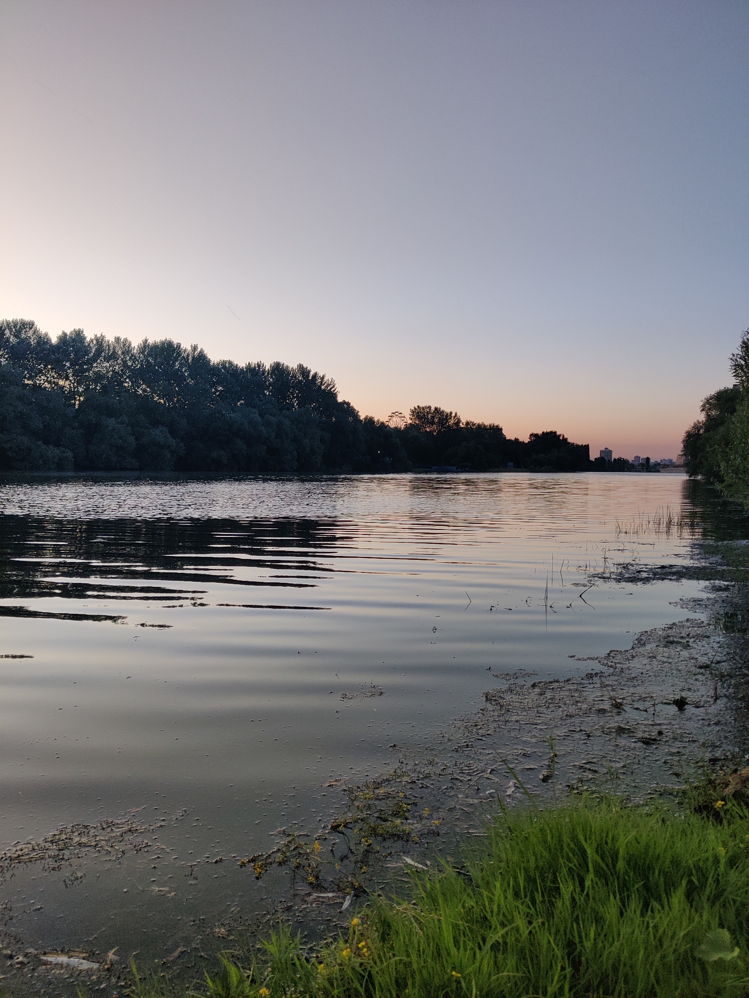 The image depicts a serene waterfront scene at dusk in Krasnodar, Russia. The sky is a gradient of soft purples and pale blues, indicating the sun has recently set. A wide, calm river occupies the majority of the frame, its surface reflecting the muted colors of the sky and the dark silhouettes of trees lining the opposite bank. Gentle ripples disturb the water's surface, creating linear patterns of light and shadow.
The left bank of the river is characterized by a dense line of trees, their foliage appearing dark and lush against the twilight sky. On the right side of the river, the bank is more varied, with patches of muddy, algae-covered shore interspersed with vibrant green grass and a few scattered yellow wildflowers. In the distance, silhouetted against the horizon, are a few buildings, suggesting a city or town nearby. A Ferris wheel is also faintly visible on the far left side of the scene.
The overall mood is peaceful and tranquil, evoking a sense of calm and natural beauty. The time of day is clearly evening, transitioning into night, and the weather appears to be clear and mild. There is no visible text in the image. The scene is a natural landscape with urban elements subtly present in the background.
